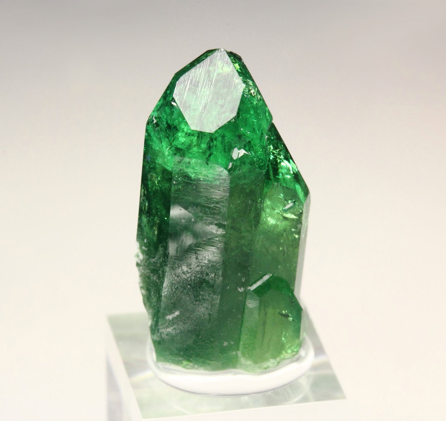 gem VESUVIANITE var. CHROMIAN