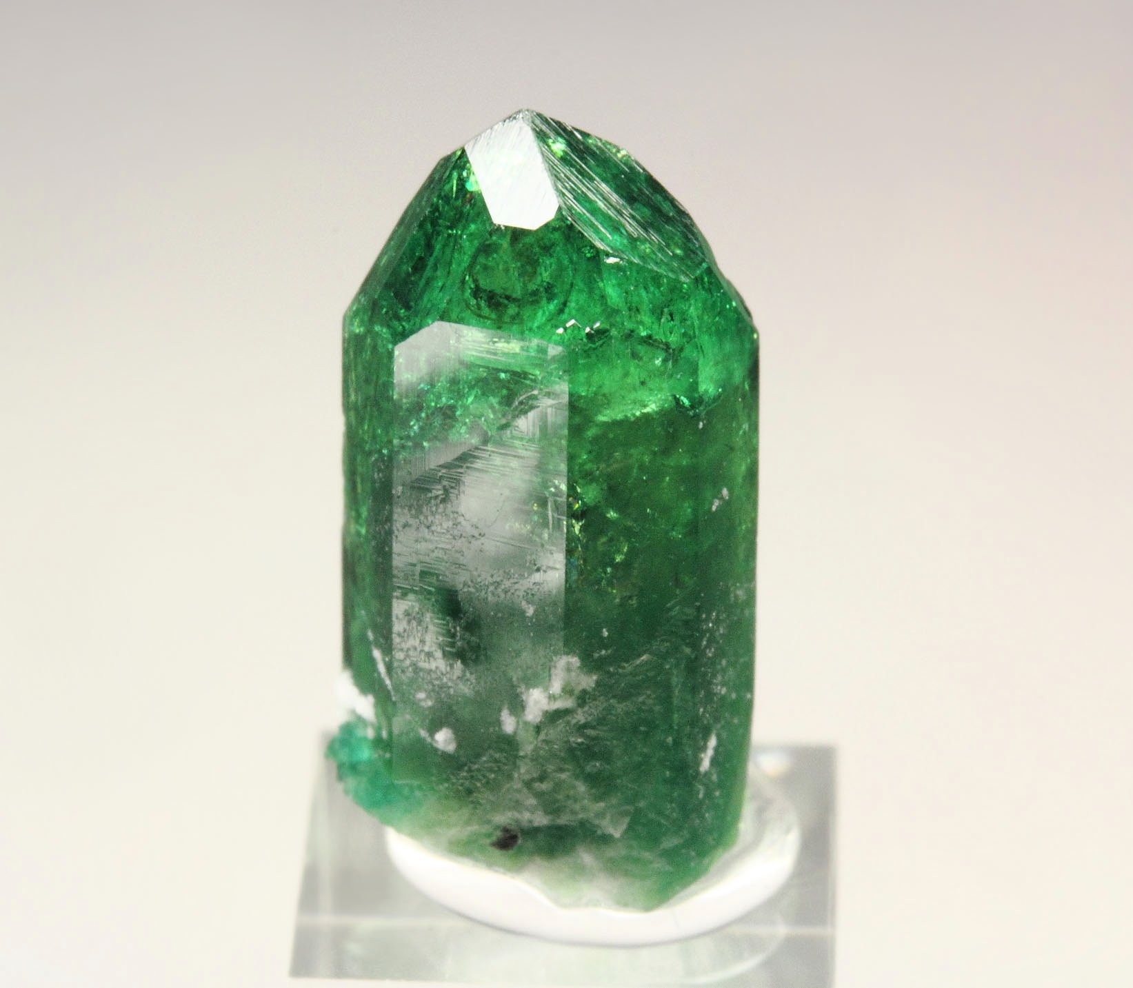 gem VESUVIANITE var. CHROMIAN