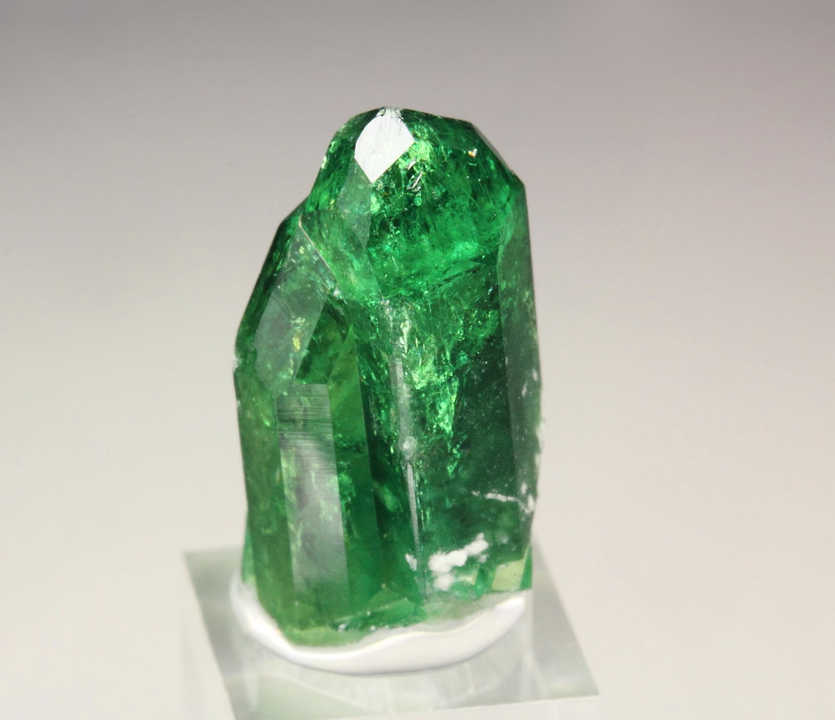 gem VESUVIANITE var. CHROMIAN