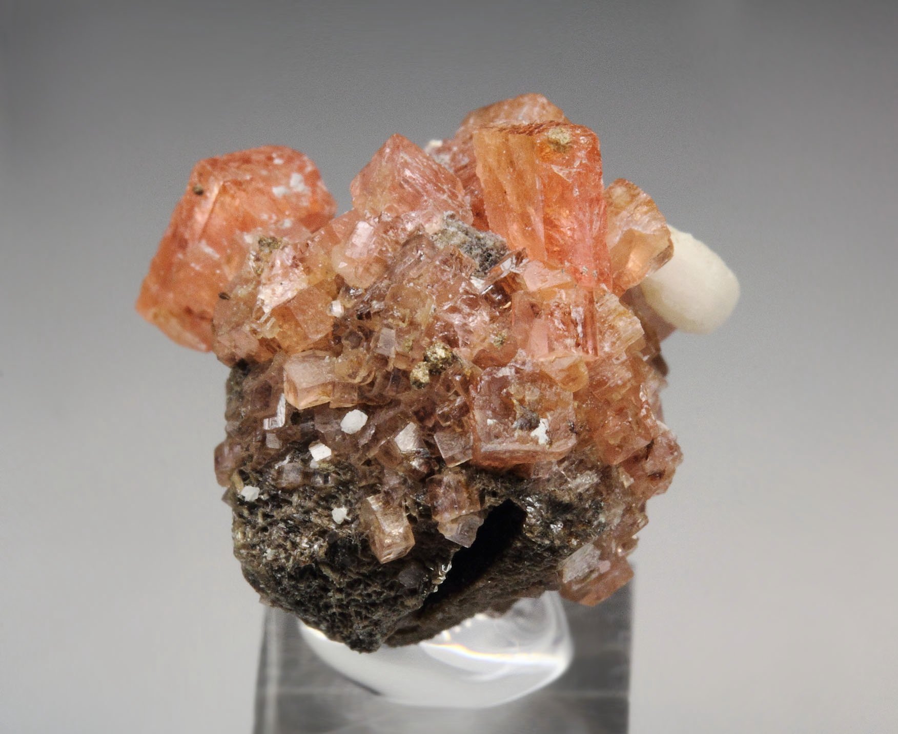 gemmy SERANDITE, EPIDIDYMITE, CATAPLEIITE pseudomorph after SODALITE