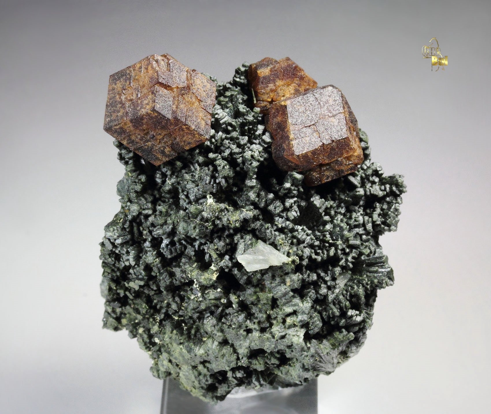 GARNET var. ANDRADITE, HEDENBERGITE, QUARTZ