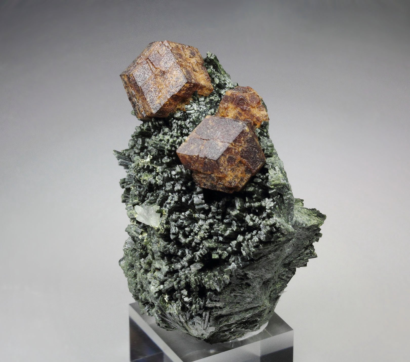 GARNET var. ANDRADITE, HEDENBERGITE, QUARTZ