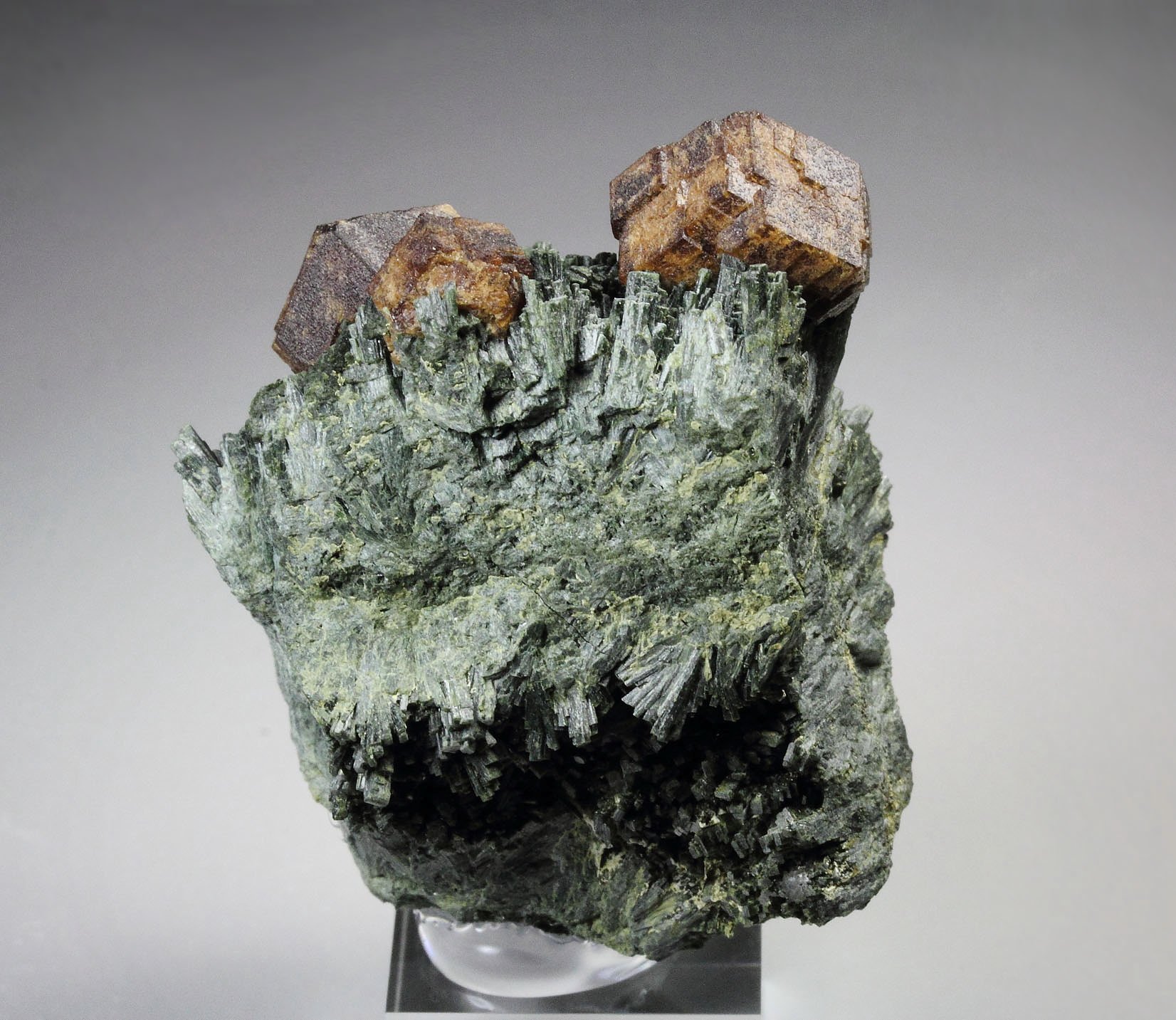 GARNET var. ANDRADITE, HEDENBERGITE, QUARTZ