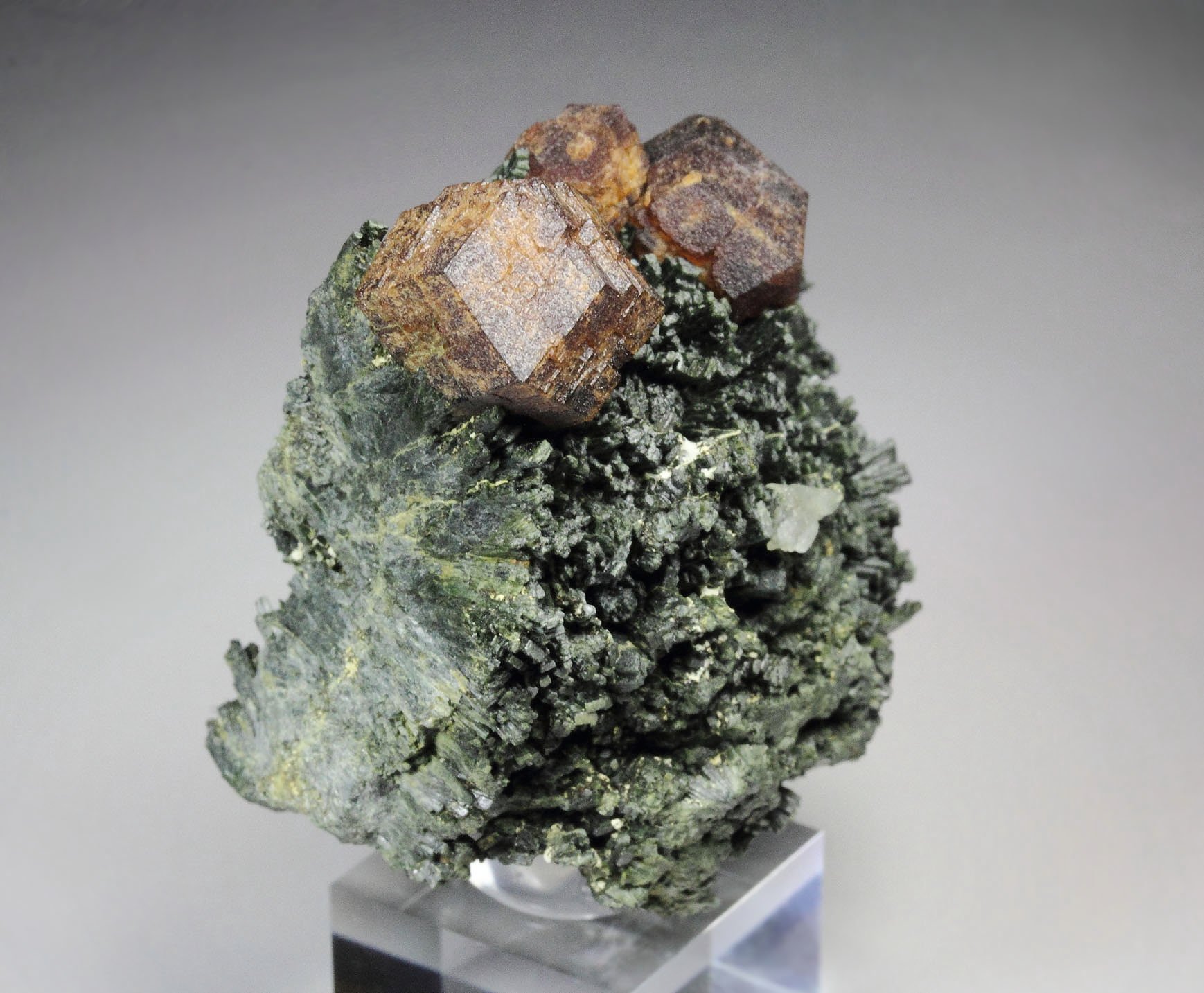 GARNET var. ANDRADITE, HEDENBERGITE, QUARTZ