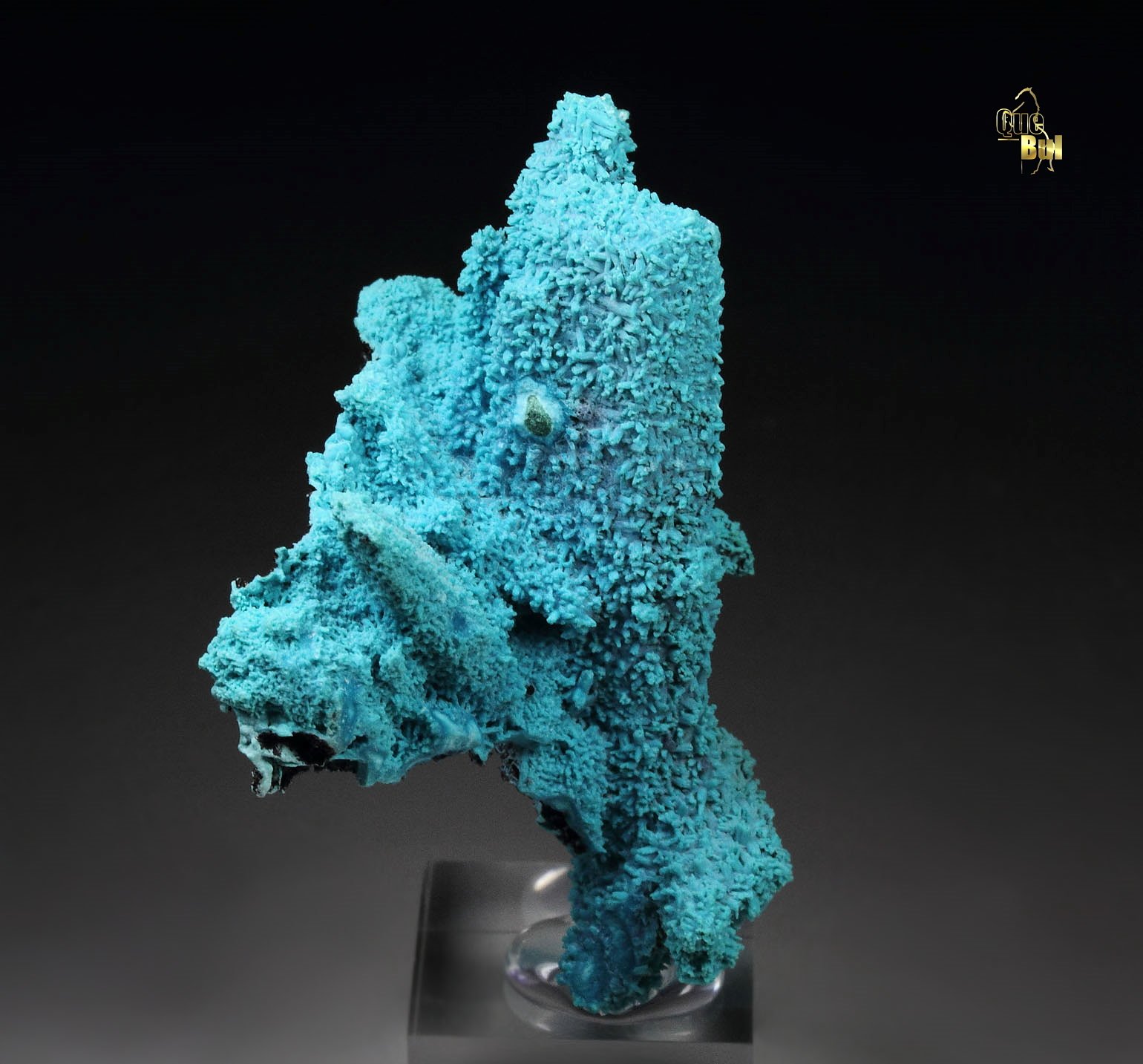 CHRYSOCOLLA pseudomorph after AZURITE