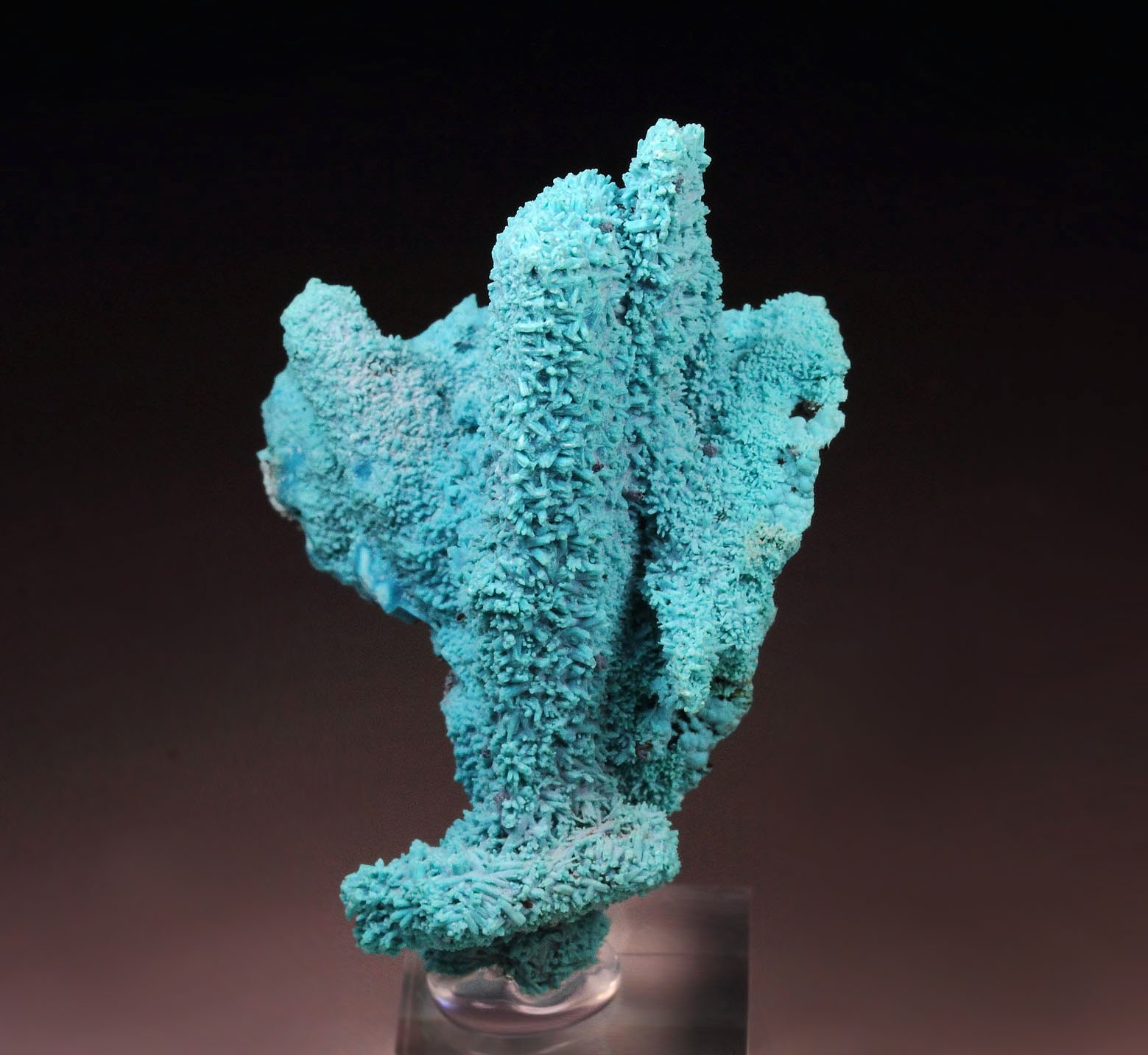 CHRYSOCOLLA pseudomorph after AZURITE