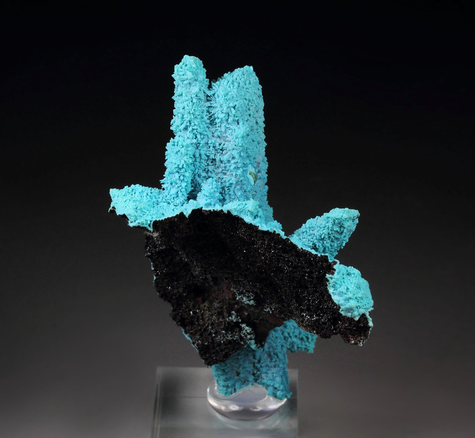 CHRYSOCOLLA pseudomorph after AZURITE