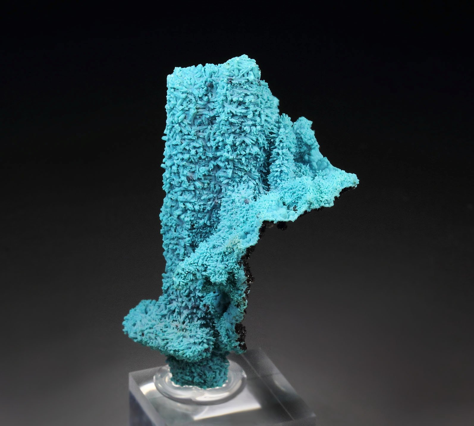 CHRYSOCOLLA pseudomorph after AZURITE