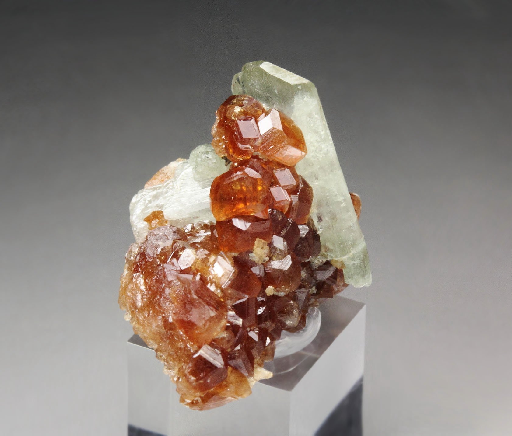 gem GARNET var. HESSONITE, DIOPSIDE