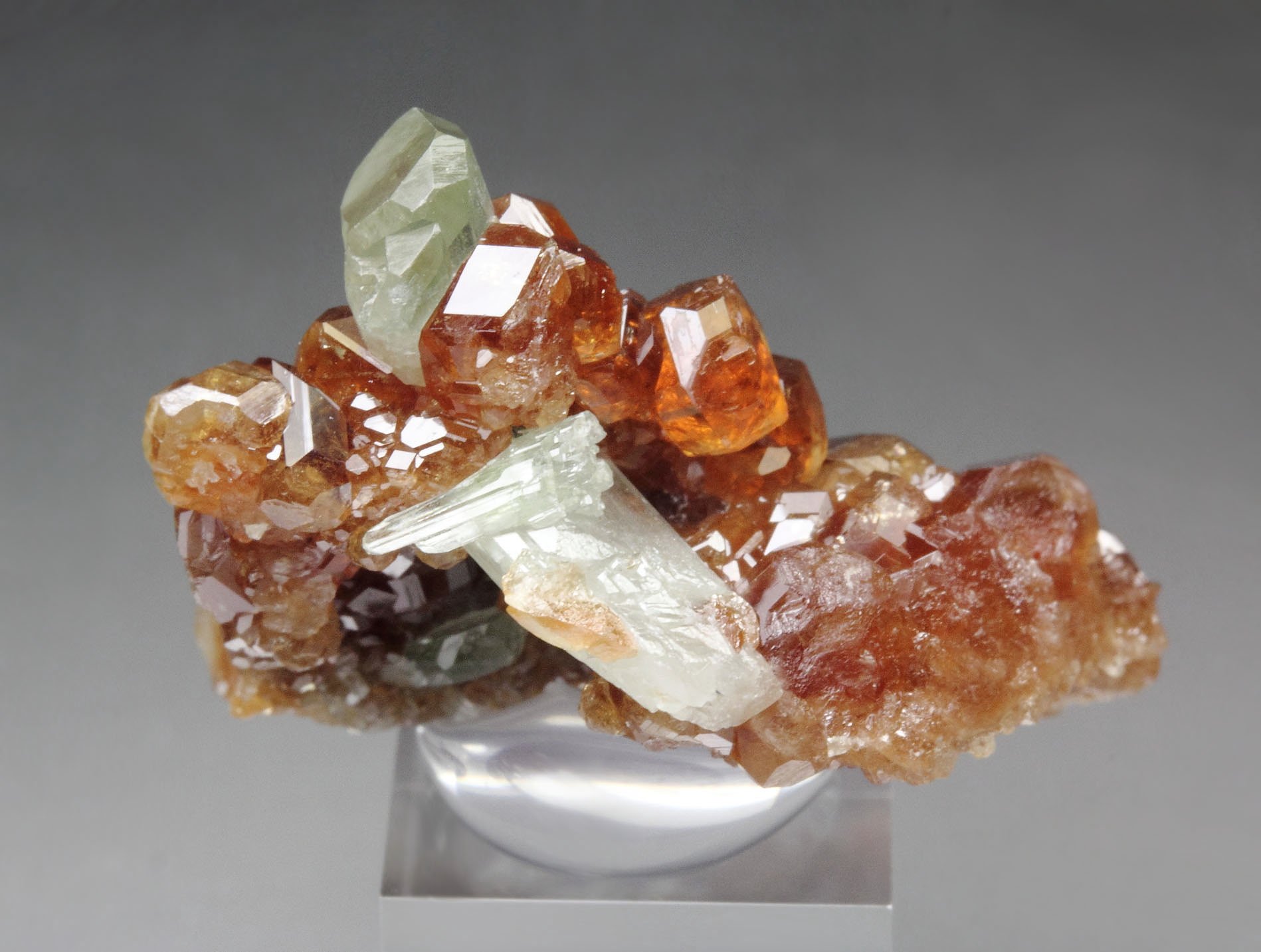 gem GARNET var. HESSONITE, DIOPSIDE