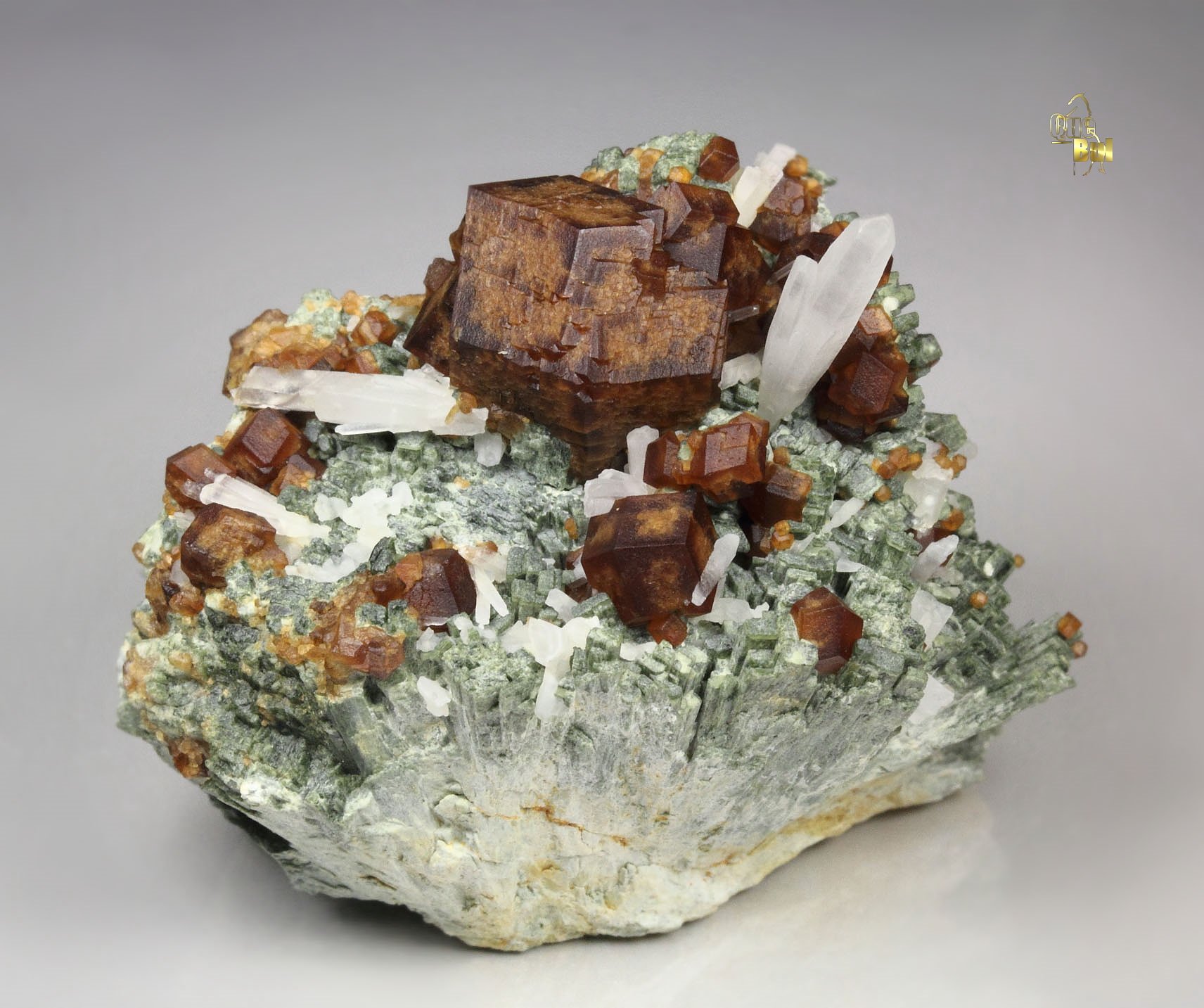 GARNET var. ANDRADITE, HEDENBERGITE, QUARTZ