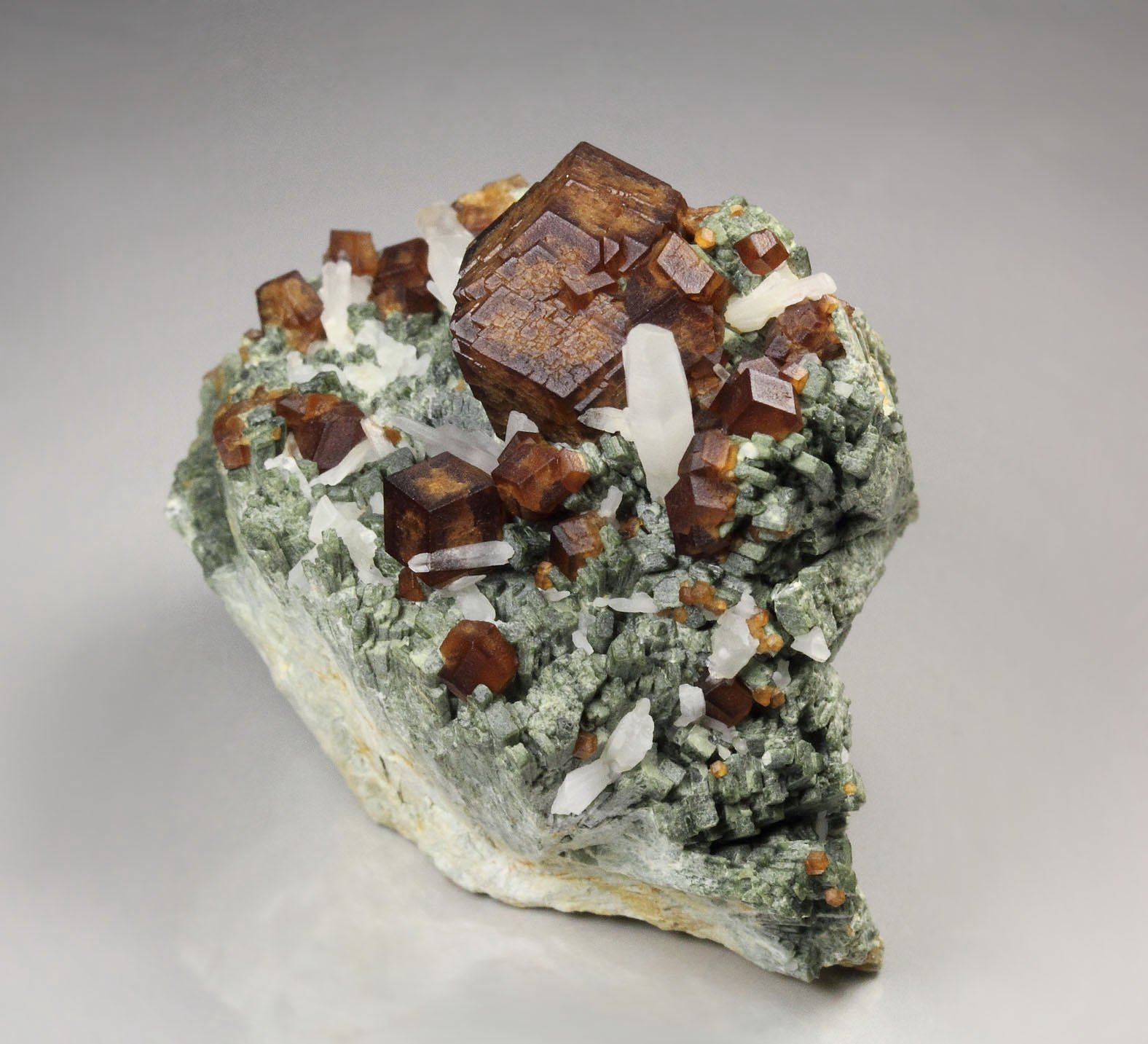 GARNET var. ANDRADITE, HEDENBERGITE, QUARTZ