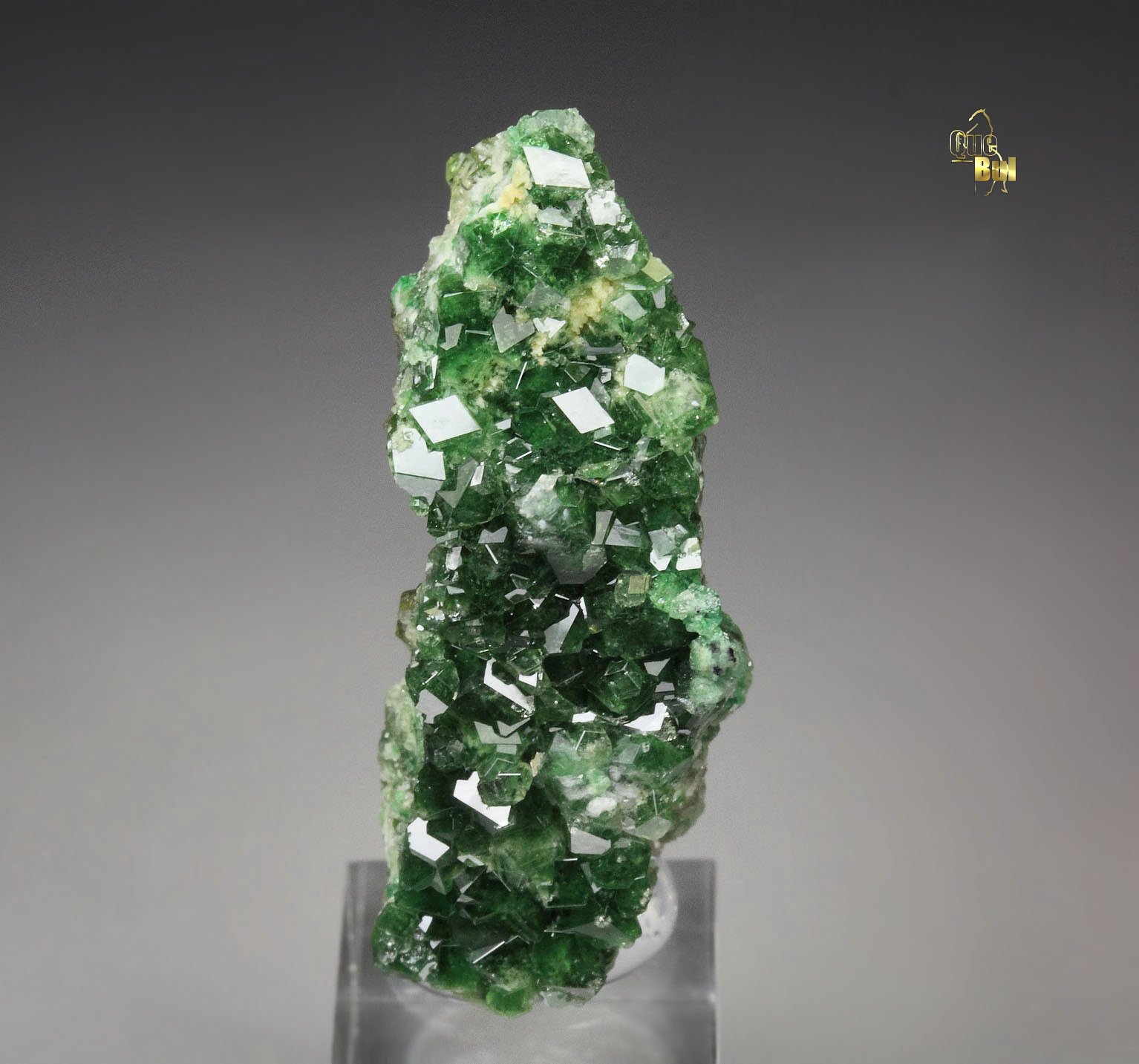 gem GARNET var. GROSSULAR var. CHROMIAN
