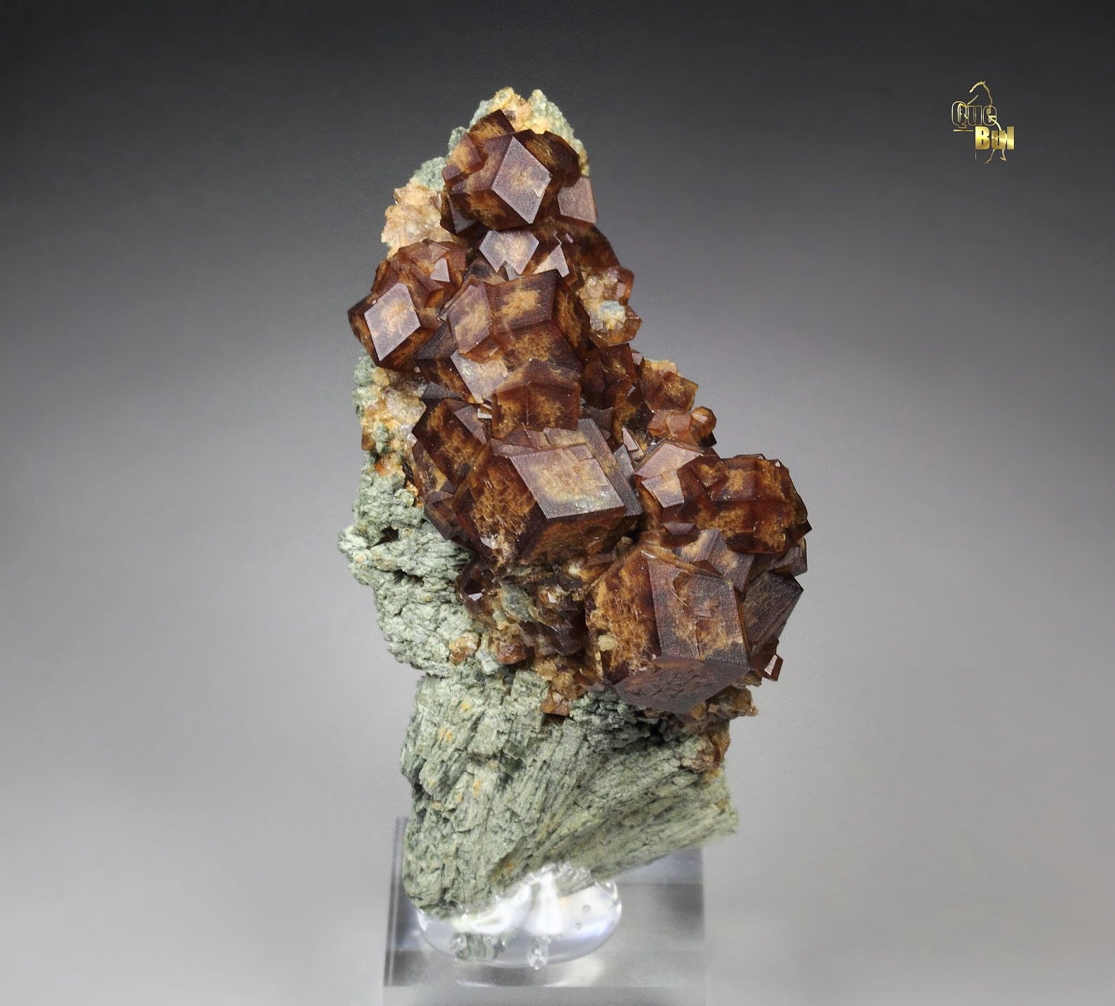 GARNET var. ANDRADITE, HEDENBERGITE