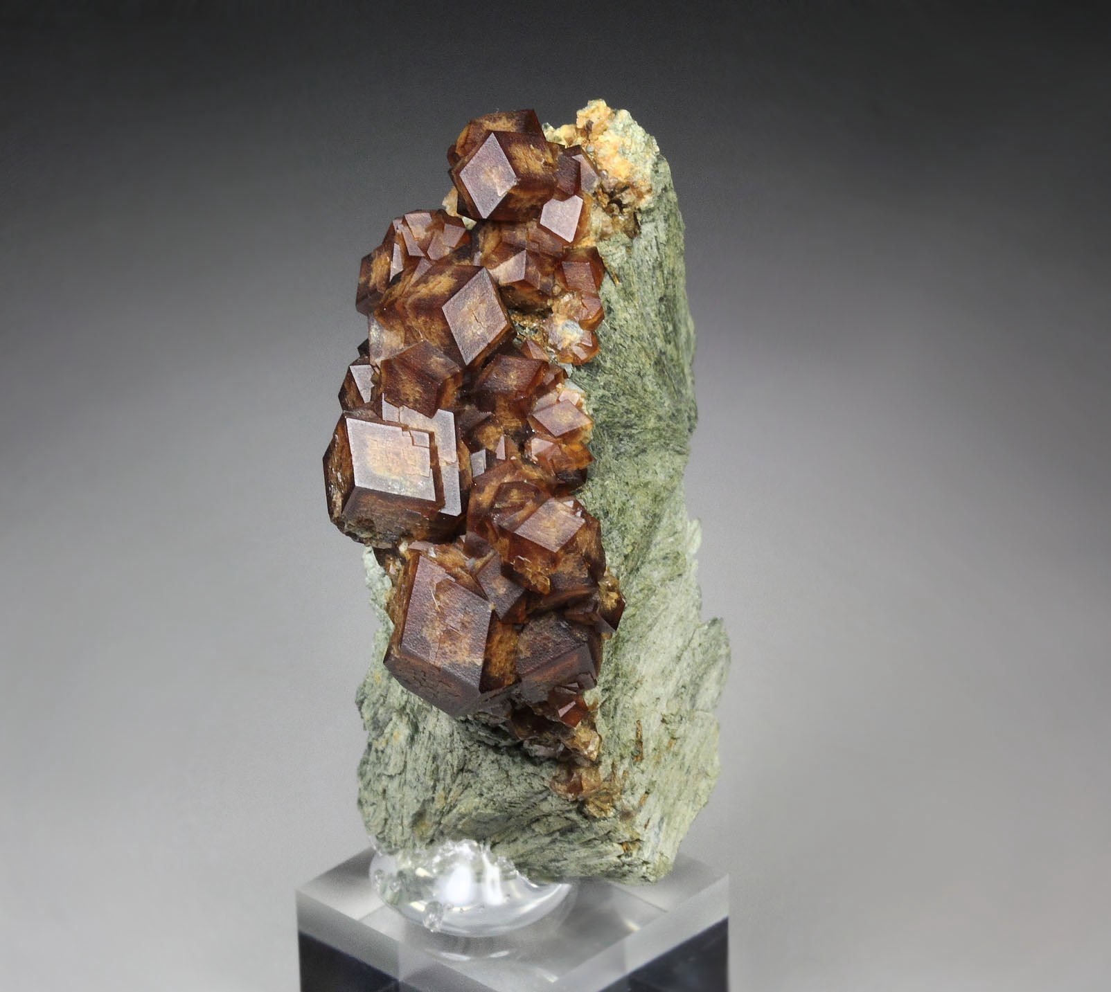 GARNET var. ANDRADITE, HEDENBERGITE