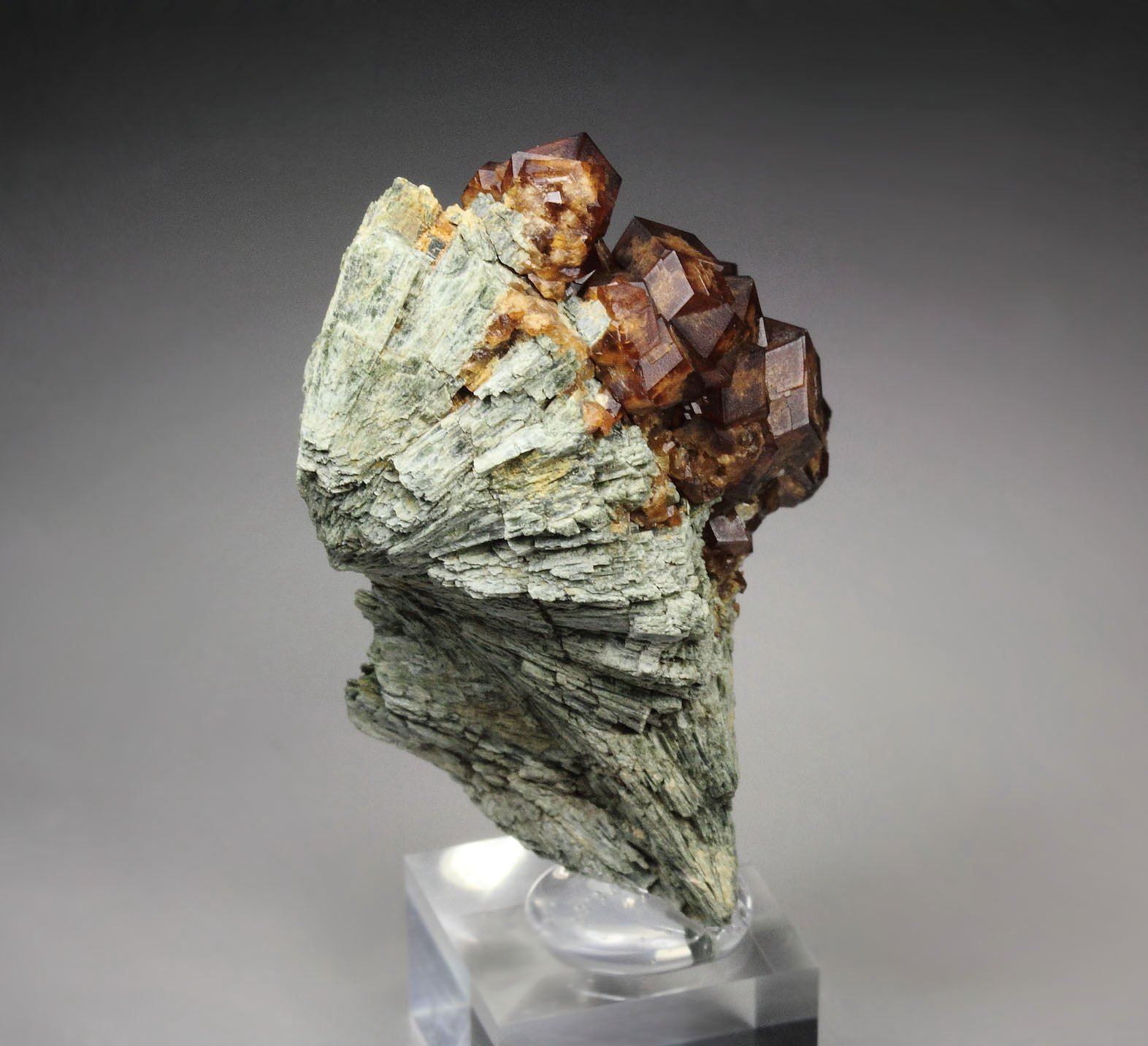 GARNET var. ANDRADITE, HEDENBERGITE