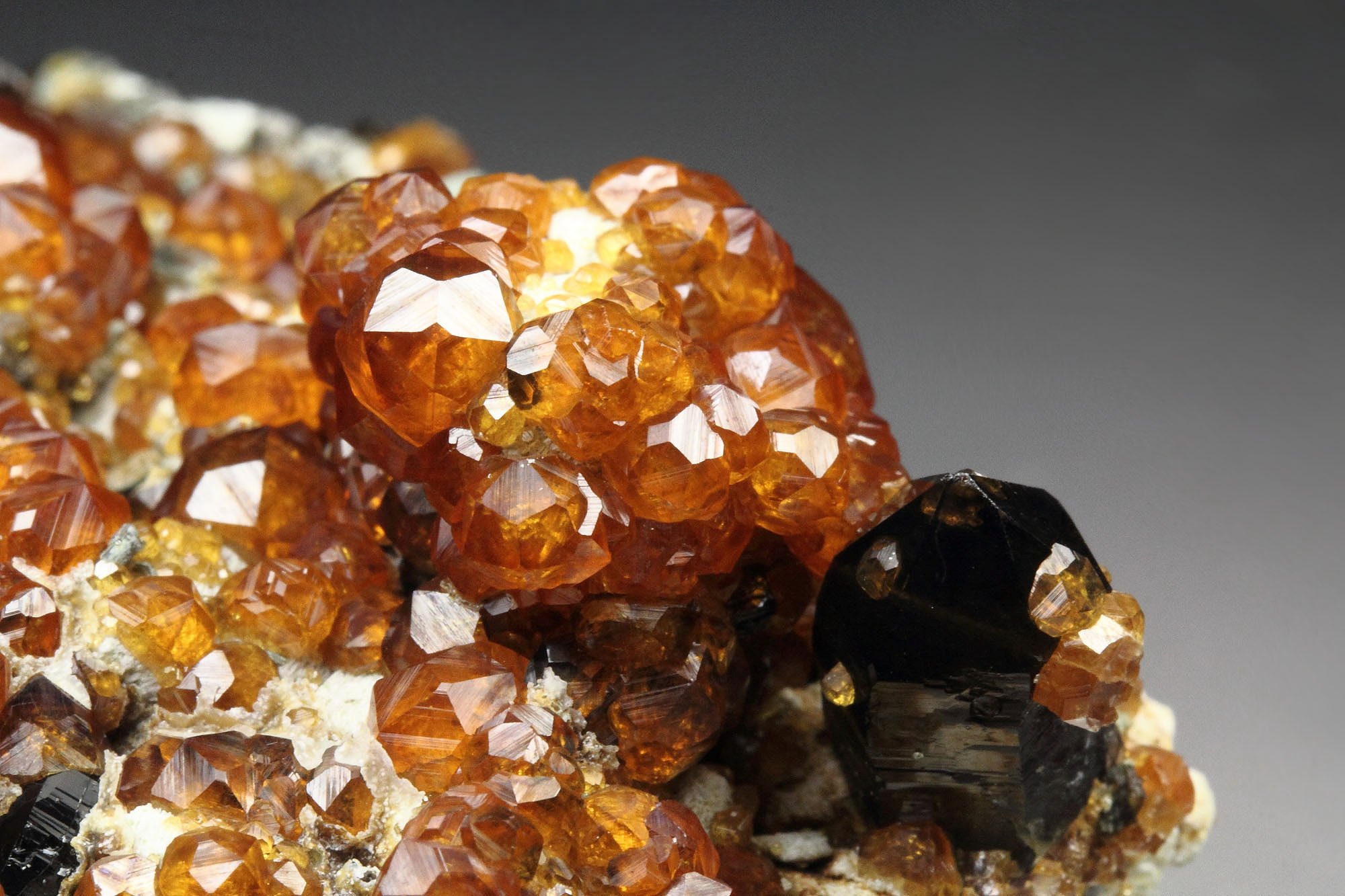gem GARNET var. SPESSARTINE, QUARTZ var. SMOKY, MICROCLINE, MUSCOVITE