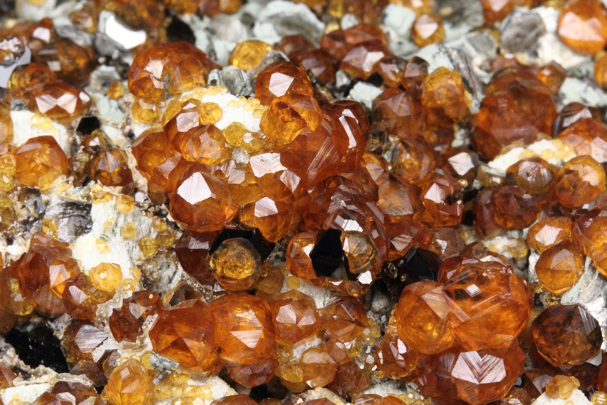 gem GARNET var. SPESSARTINE, QUARTZ var. SMOKY, MICROCLINE, MUSCOVITE