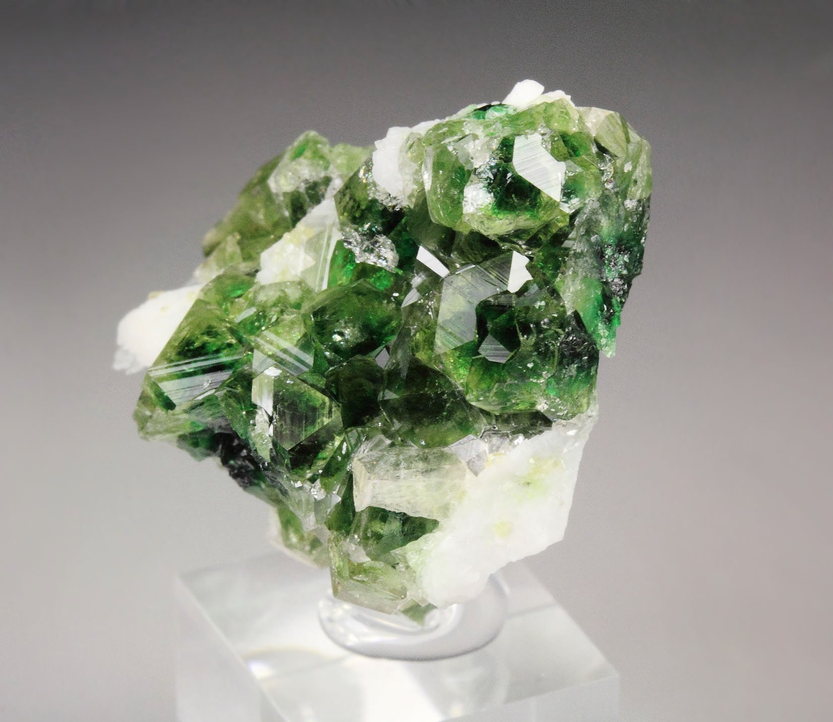 gem GARNET var. GROSSULAR with GREEN CHROMIAN PHANTOMS, PECTOLITE