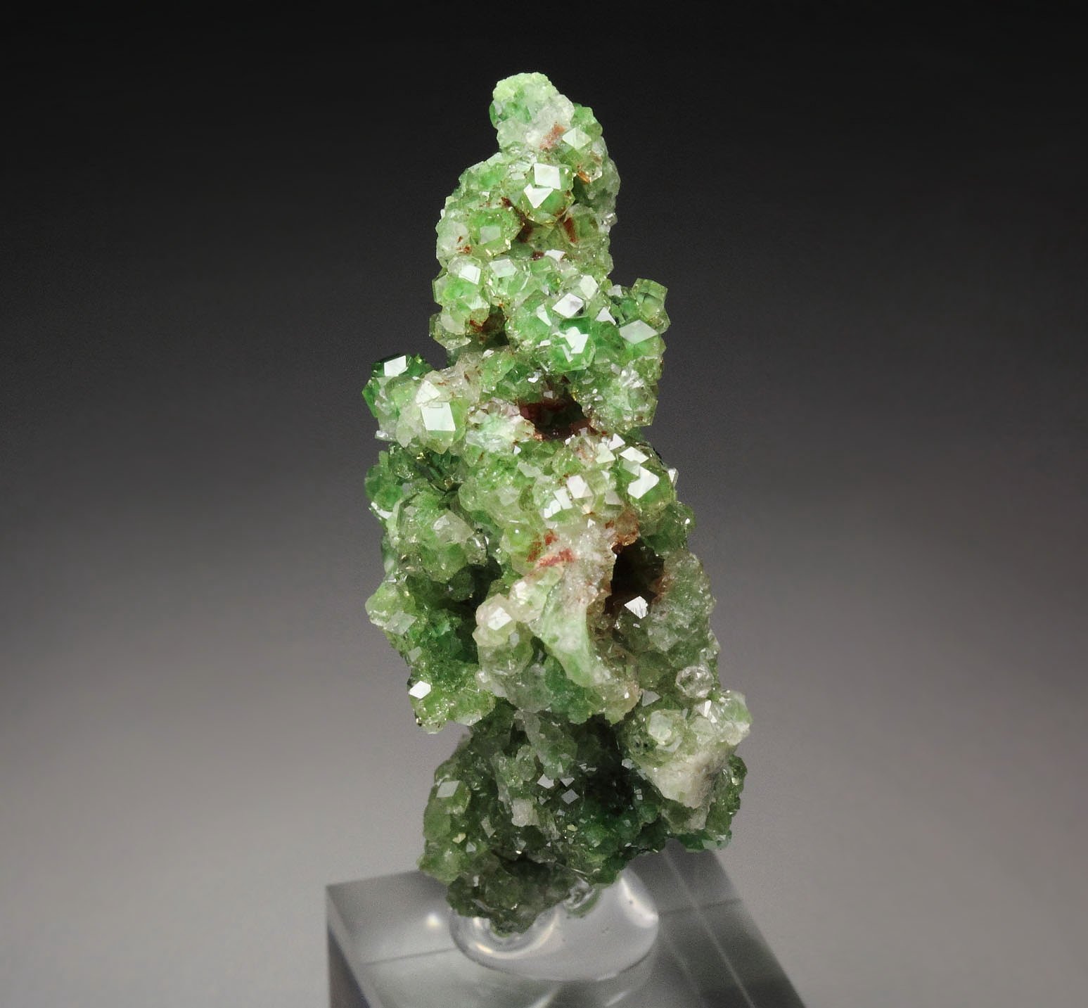 gem GARNET var. GROSSULAR with GREEN CHROMIAN PHANTOMS