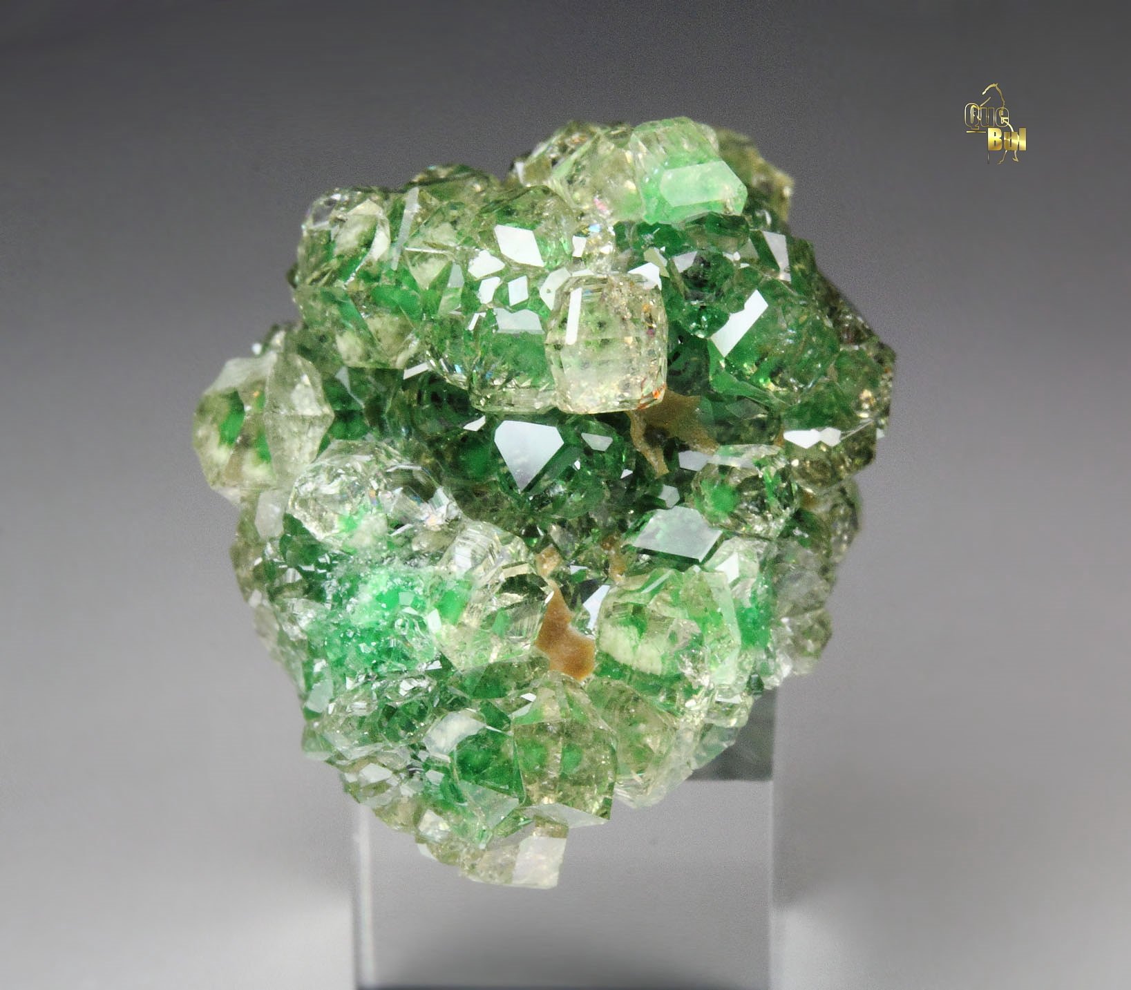 gem GARNET var. GROSSULAR with GREEN CHROMIAN PHANTOMS, CHROMITE