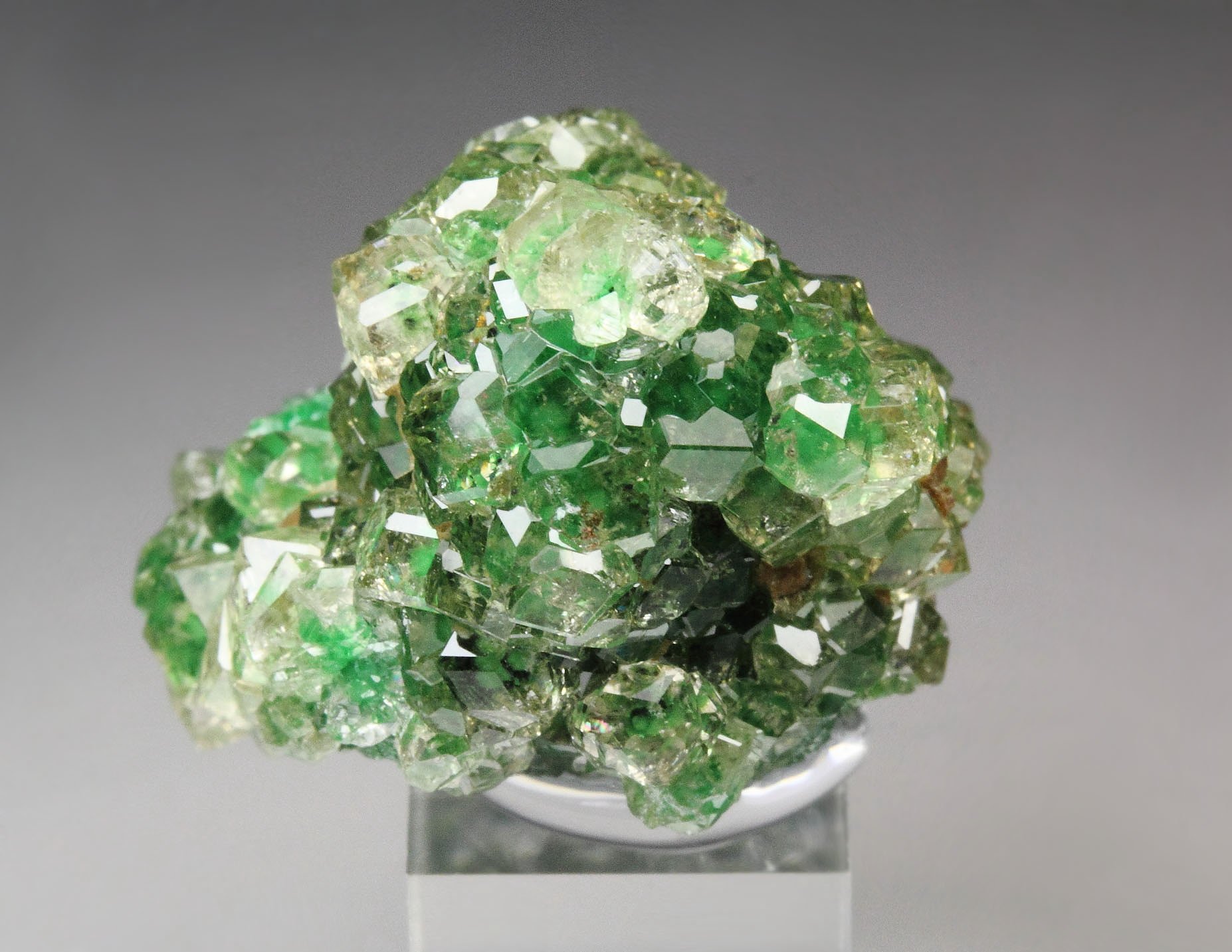 gem GARNET var. GROSSULAR with GREEN CHROMIAN PHANTOMS, CHROMITE