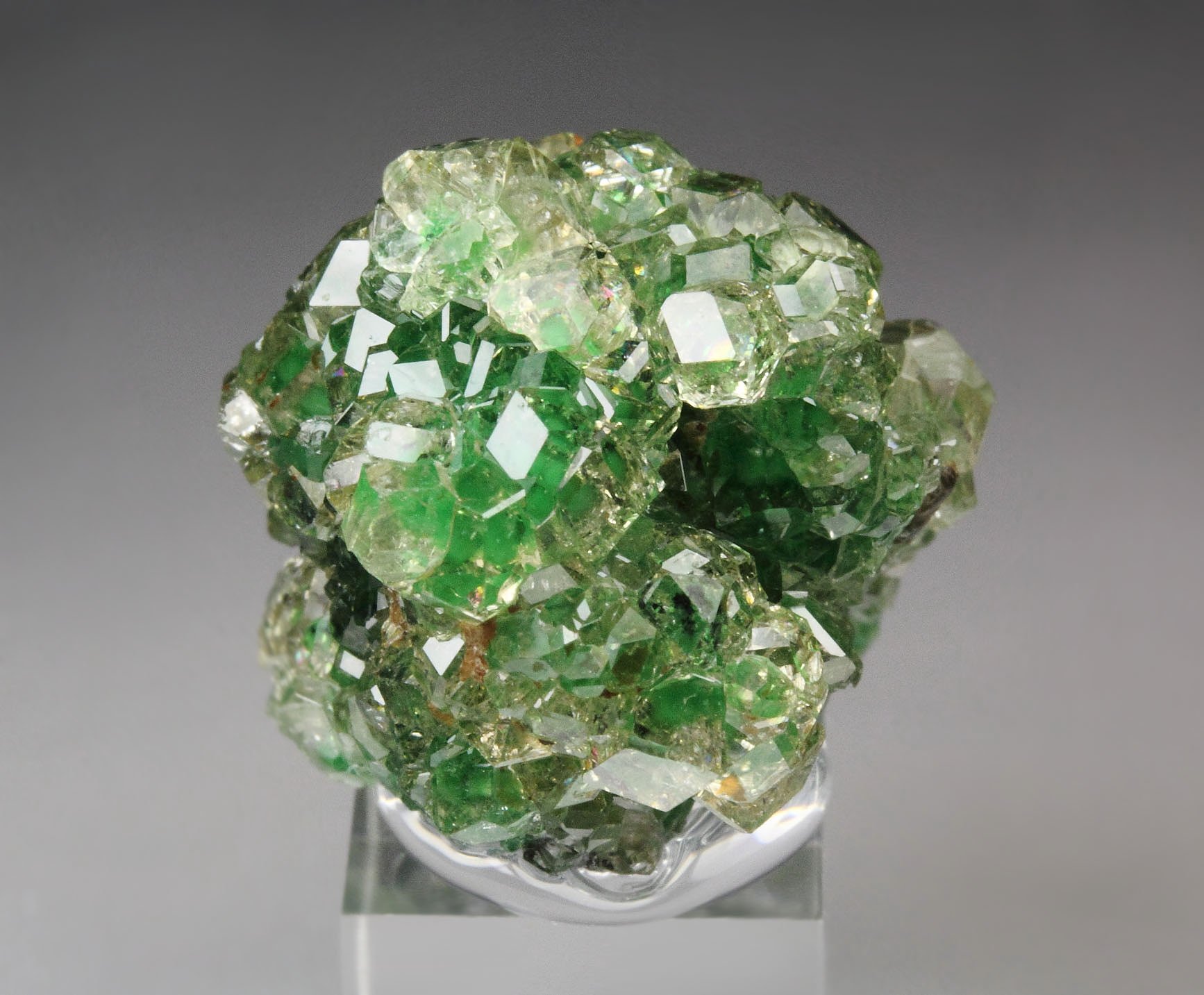 gem GARNET var. GROSSULAR with GREEN CHROMIAN PHANTOMS, CHROMITE