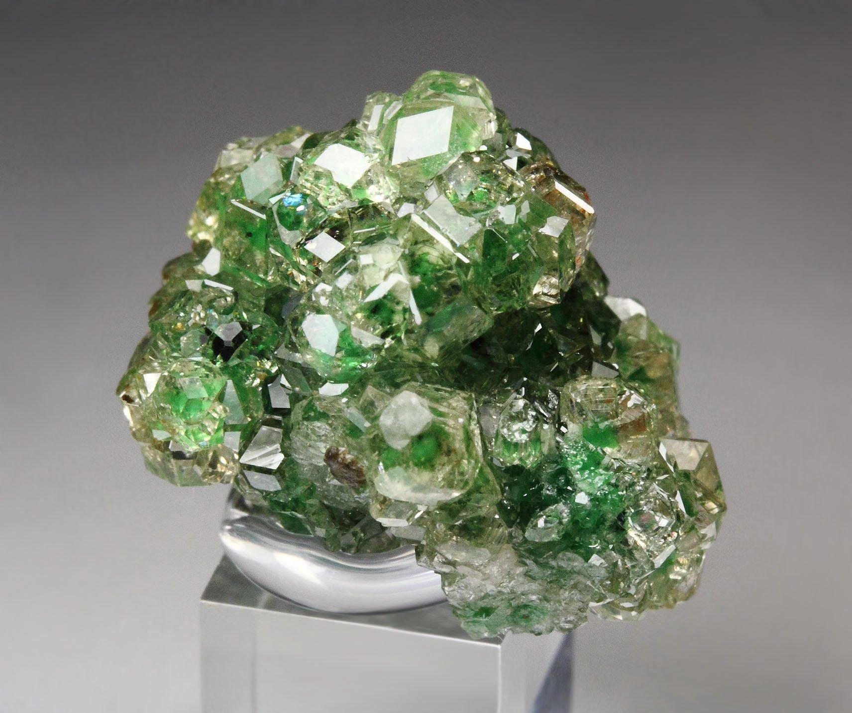 gem GARNET var. GROSSULAR with GREEN CHROMIAN PHANTOMS, CHROMITE