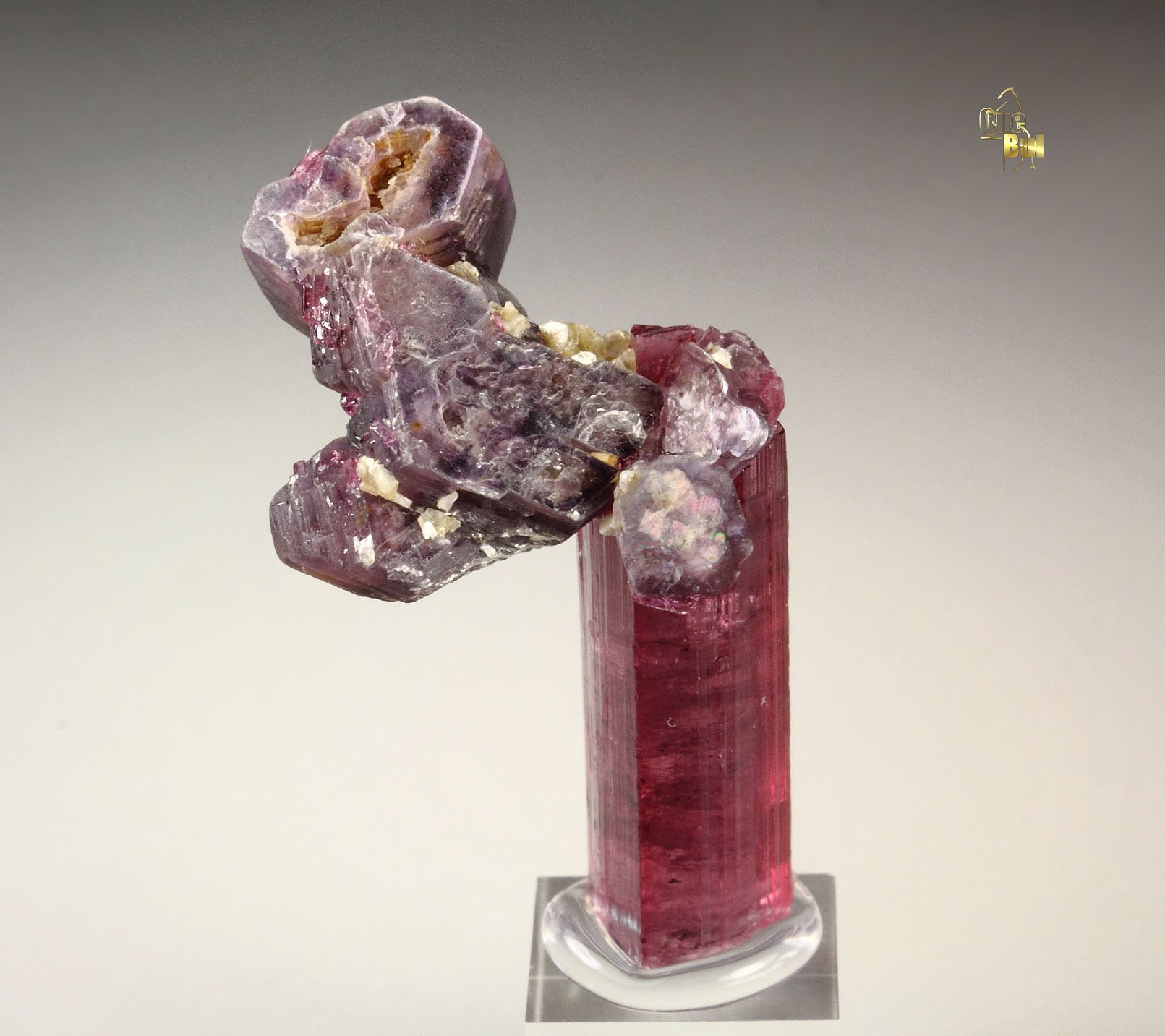 gem TOURMALINE var. ELBAITE, LEPIDOLITE