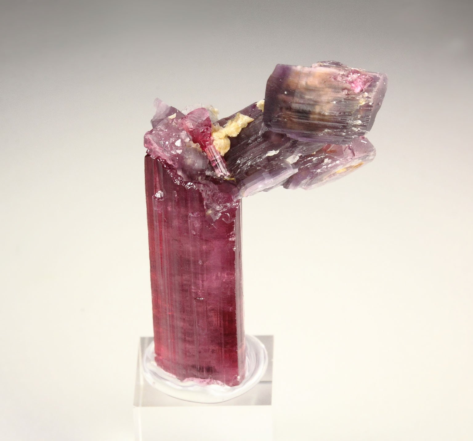 gem TOURMALINE var. ELBAITE, LEPIDOLITE