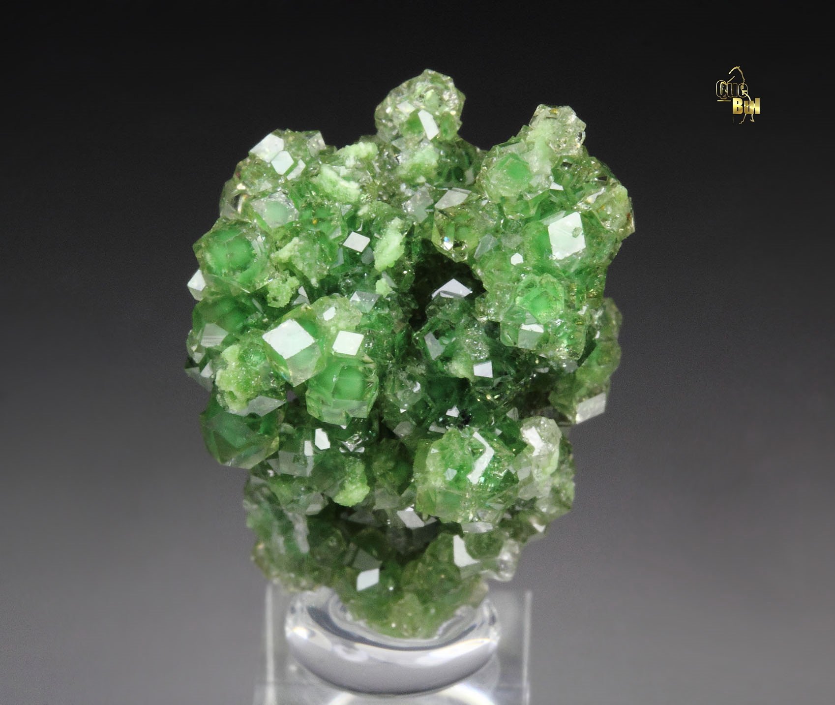 gem GARNET var. GROSSULAR with GREEN CHROMIAN PHANTOMS, DIOPSIDE