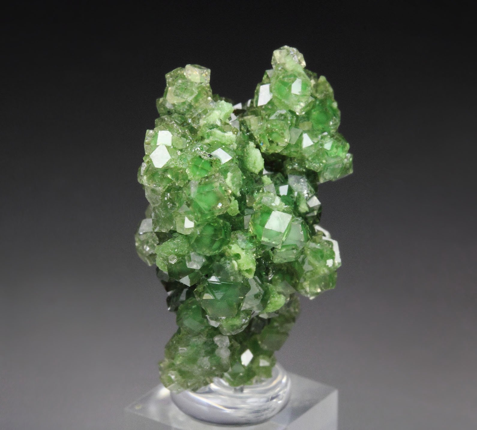 gem GARNET var. GROSSULAR with GREEN CHROMIAN PHANTOMS, DIOPSIDE