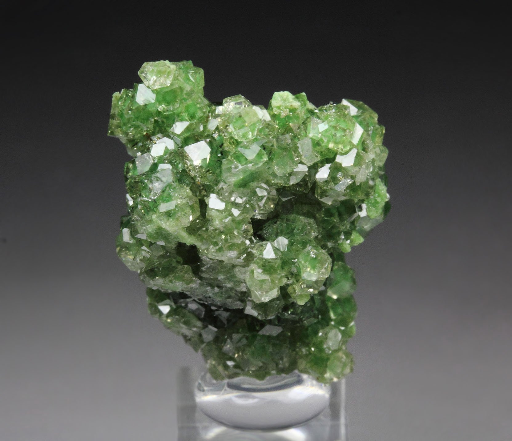 gem GARNET var. GROSSULAR with GREEN CHROMIAN PHANTOMS, DIOPSIDE