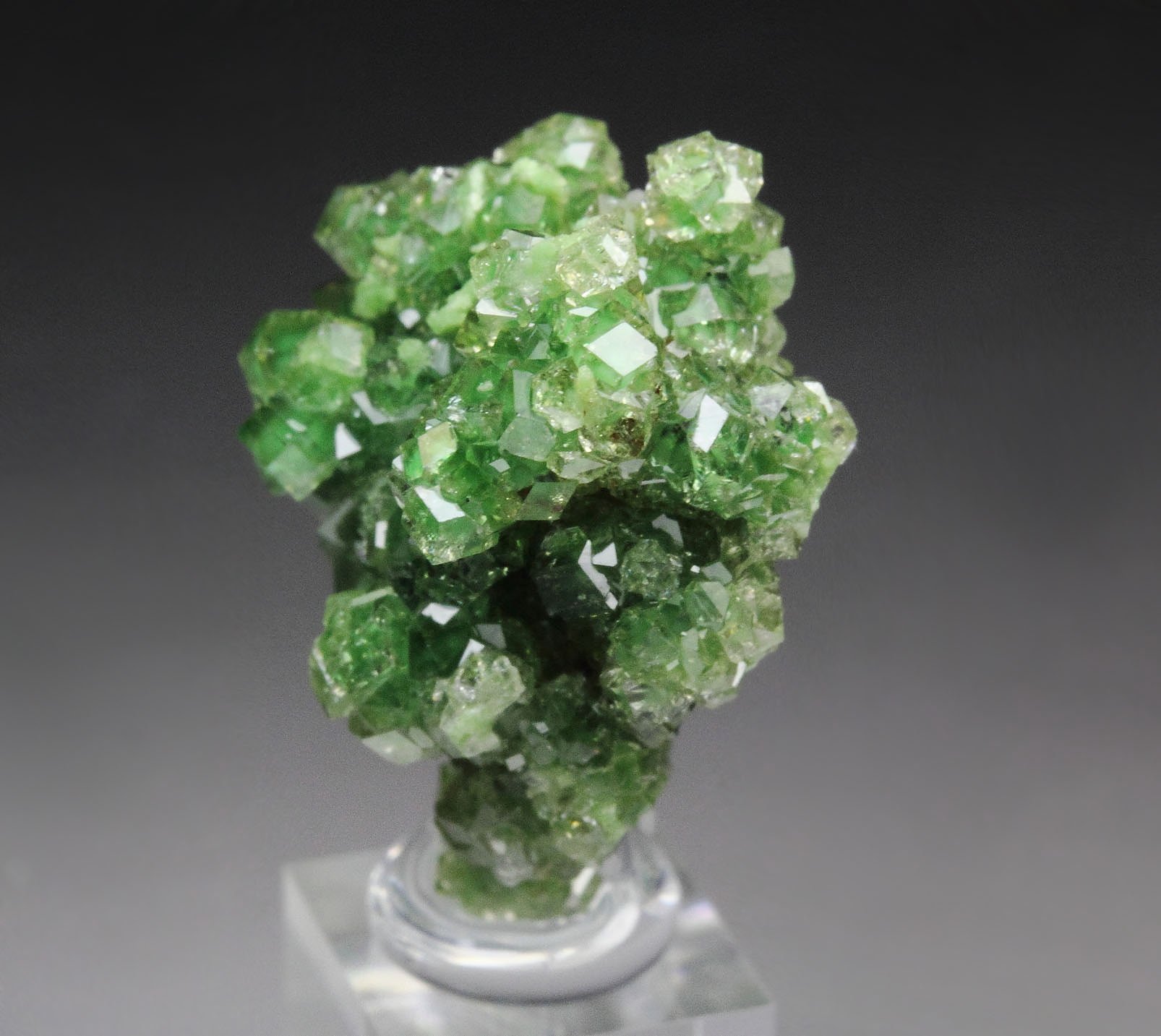 gem GARNET var. GROSSULAR with GREEN CHROMIAN PHANTOMS, DIOPSIDE