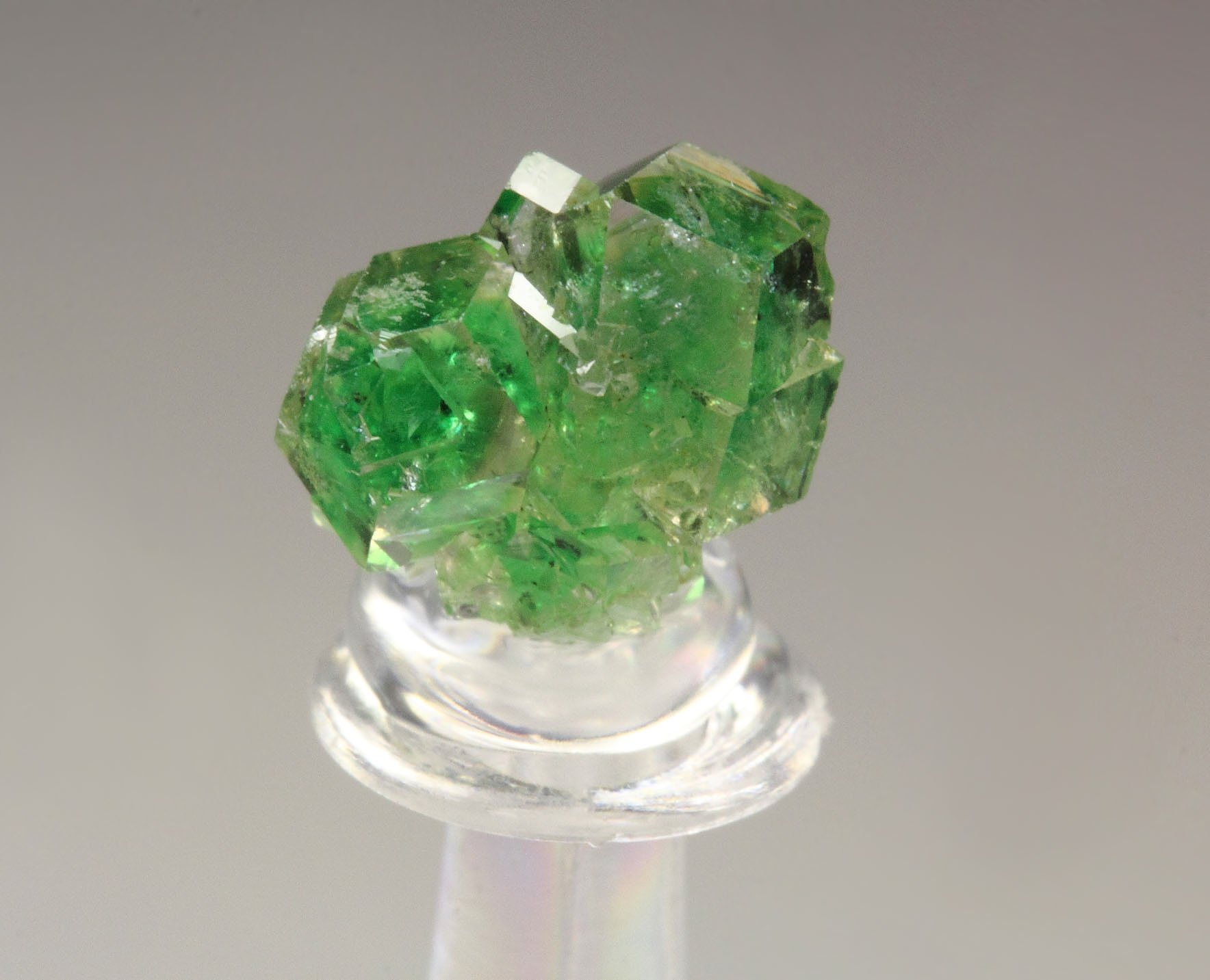 gem GARNET var. GROSSULAR with GREEN CHROMIAN PHANTOMS