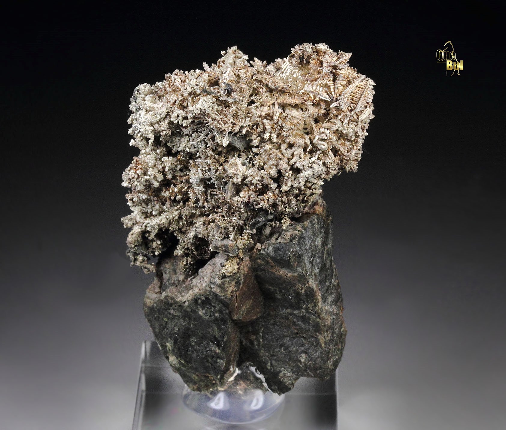 SILVER - SPINEL LAW TWIN