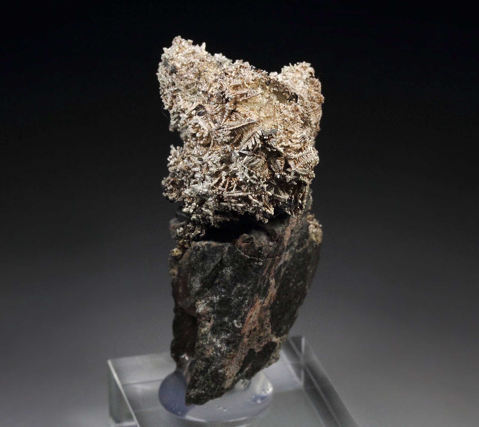 SILVER - SPINEL LAW TWIN