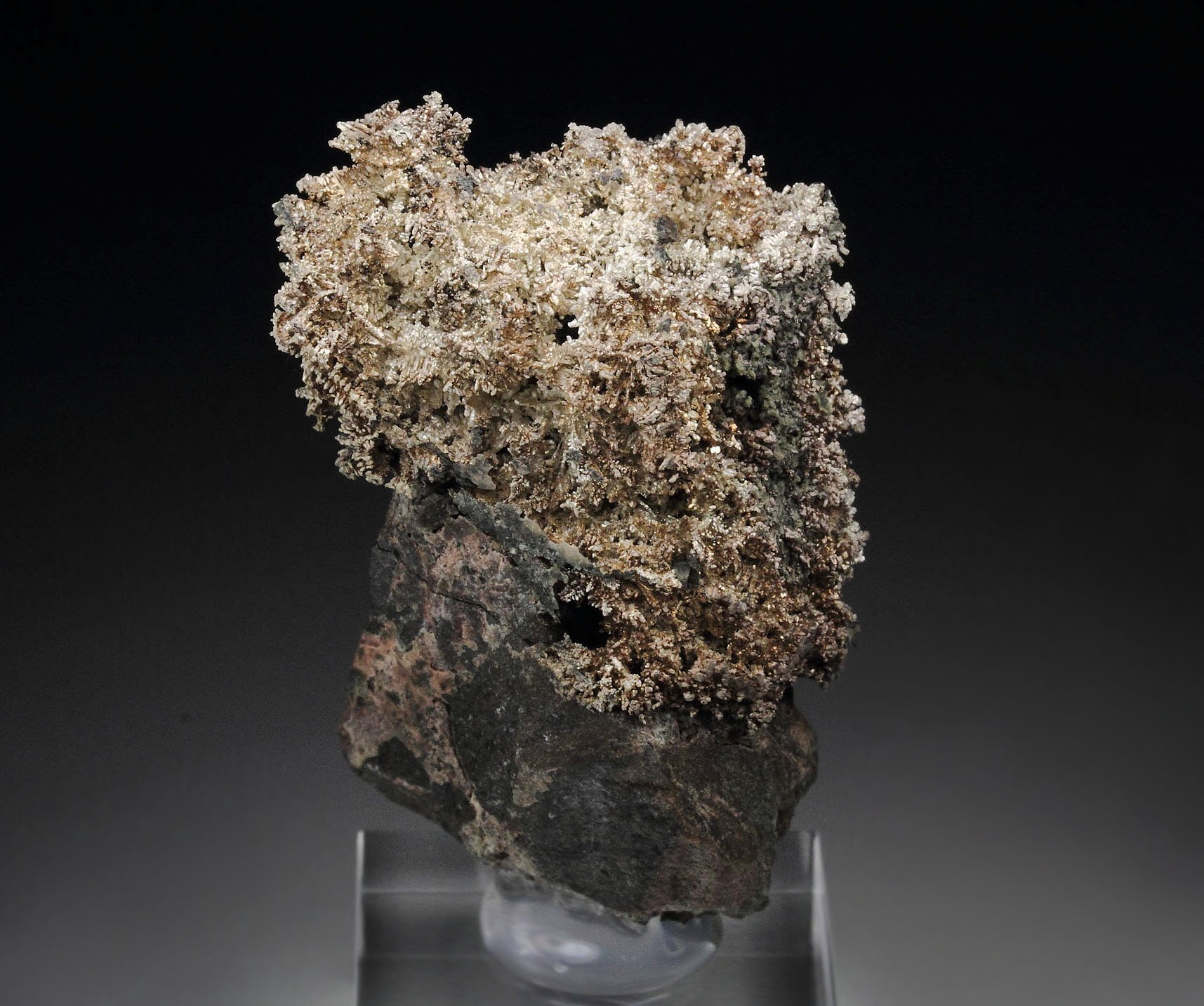 SILVER - SPINEL LAW TWIN