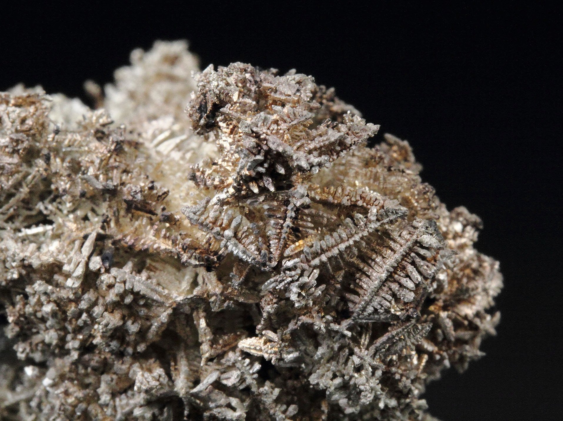 SILVER - SPINEL LAW TWIN