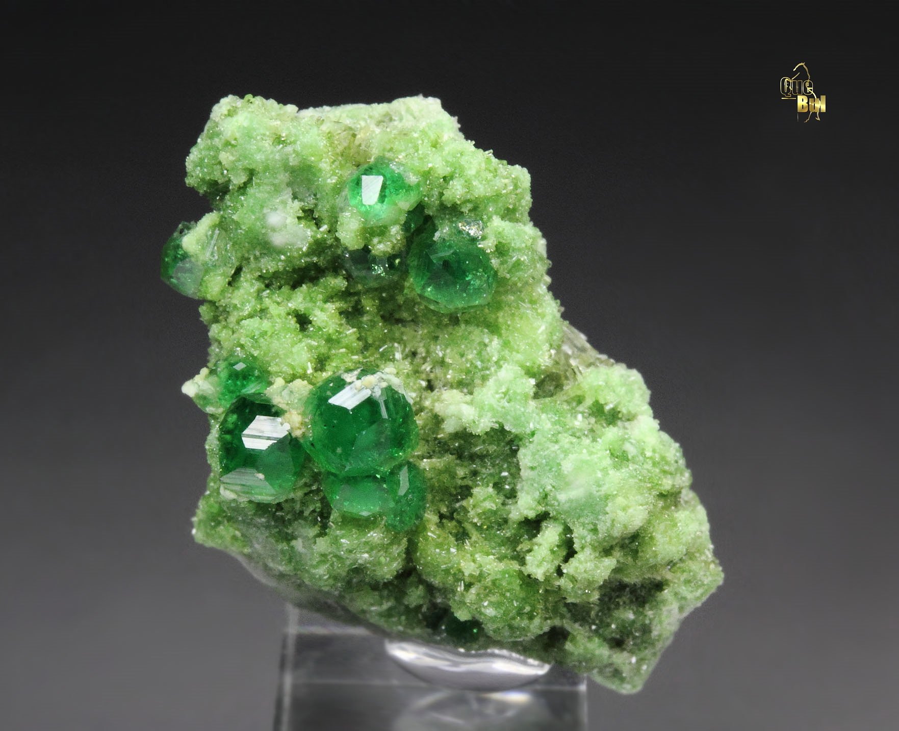 gem GARNET var. GROSSULAR var. CHROMIAN, DIOPSIDE