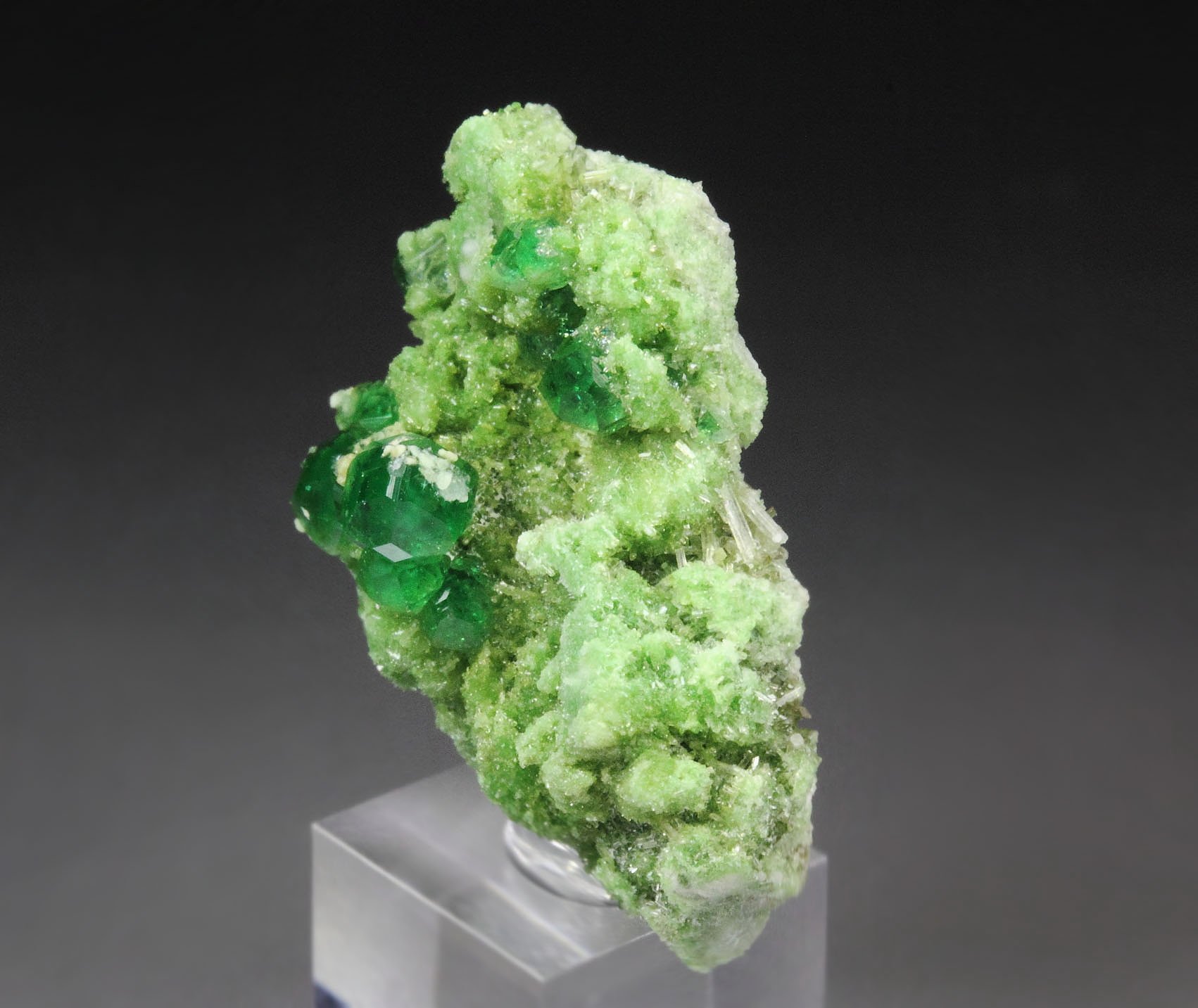 gem GARNET var. GROSSULAR var. CHROMIAN, DIOPSIDE