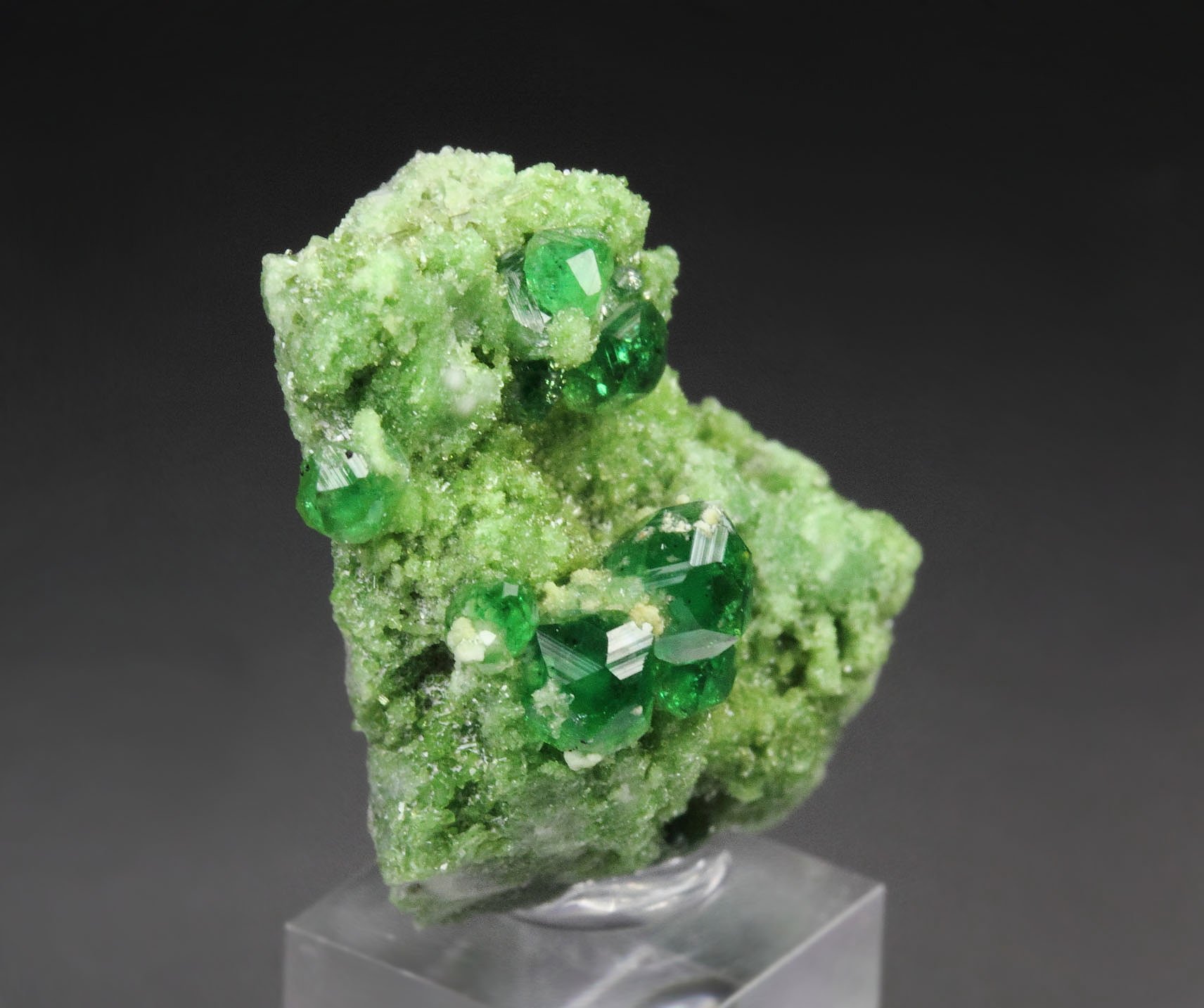 gem GARNET var. GROSSULAR var. CHROMIAN, DIOPSIDE