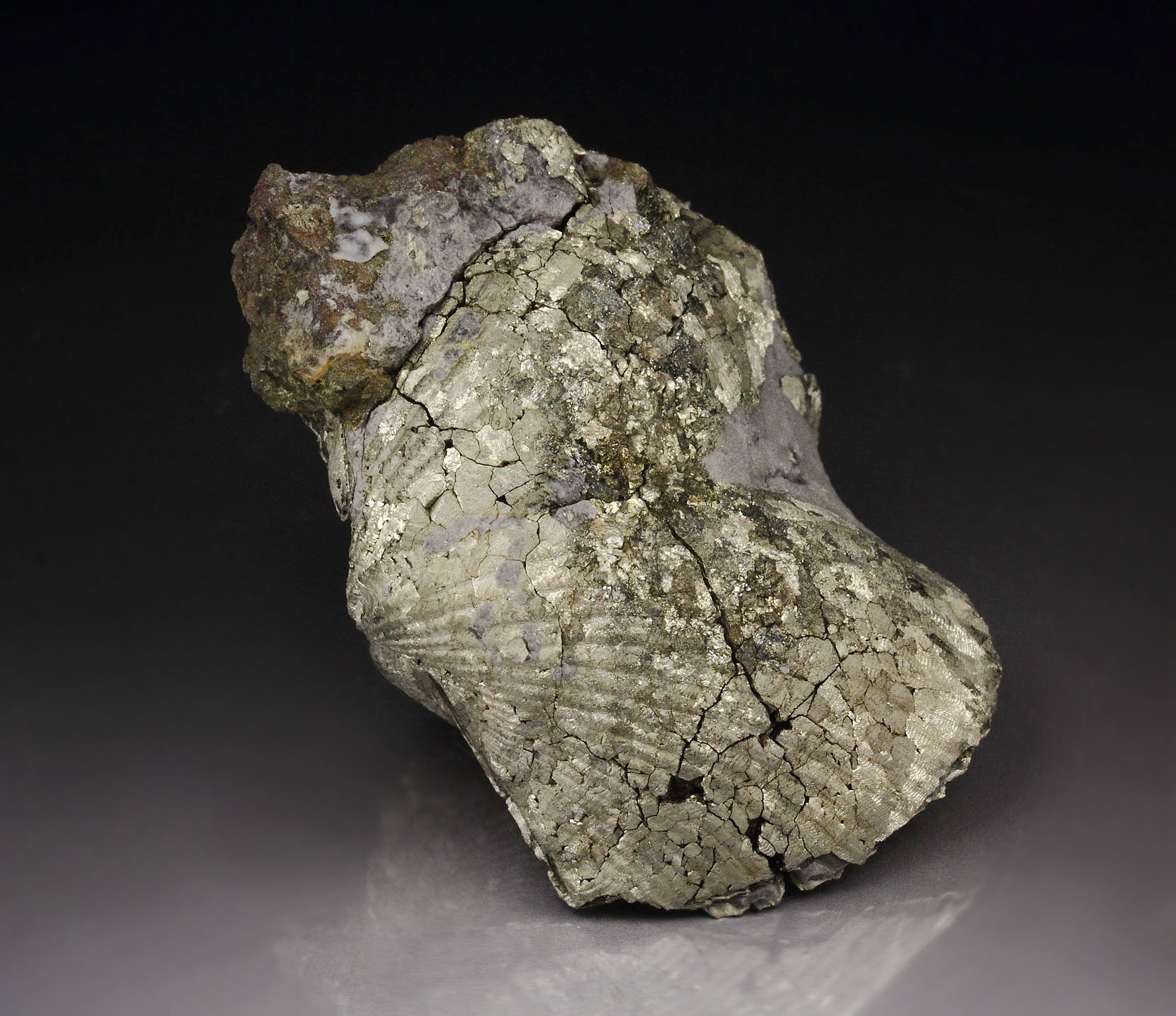 PYRITE replacing PARASPIRIFER BOWNOCKERI BRACHIOPOD shell