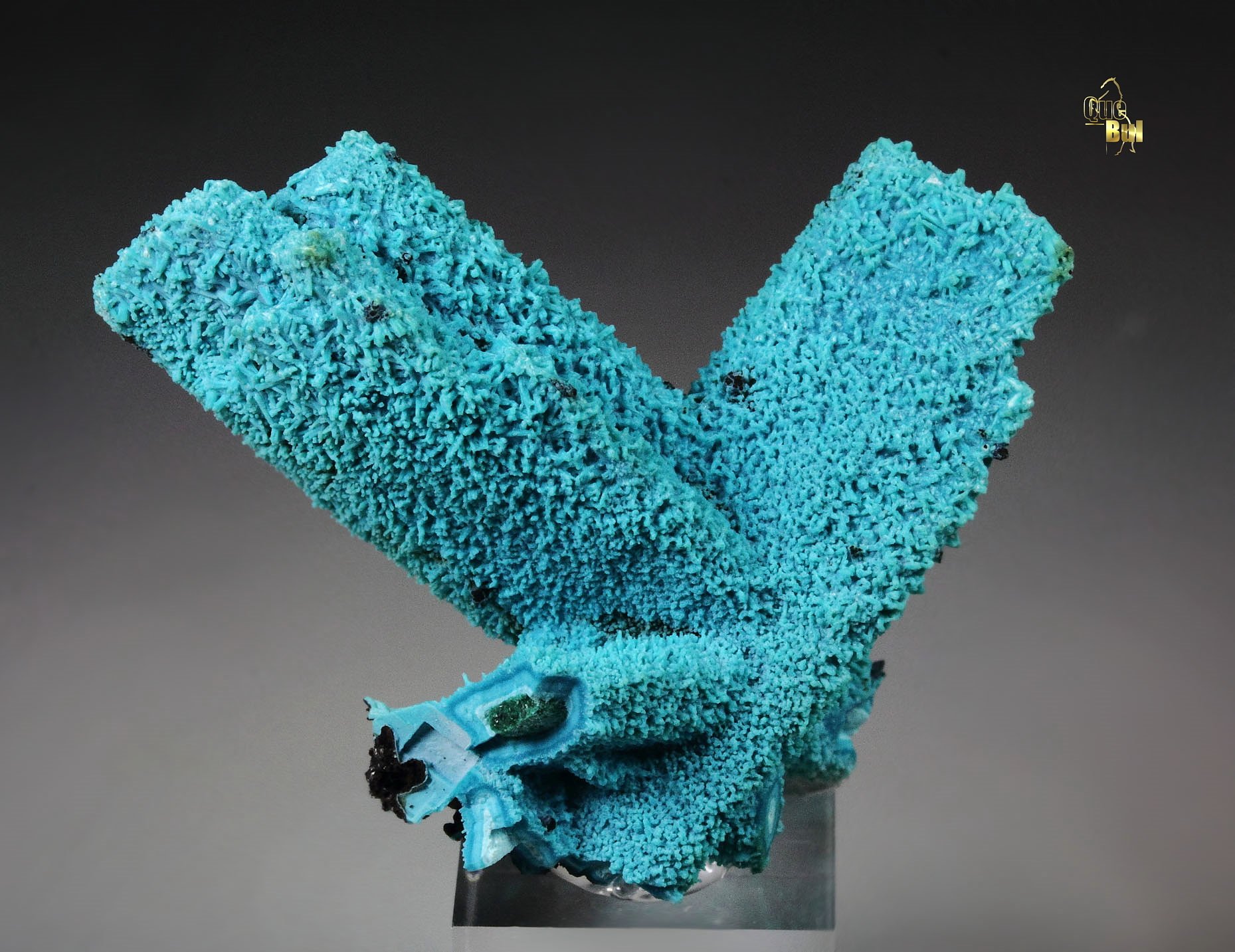 CHRYSOCOLLA pseudomorph after AZURITE