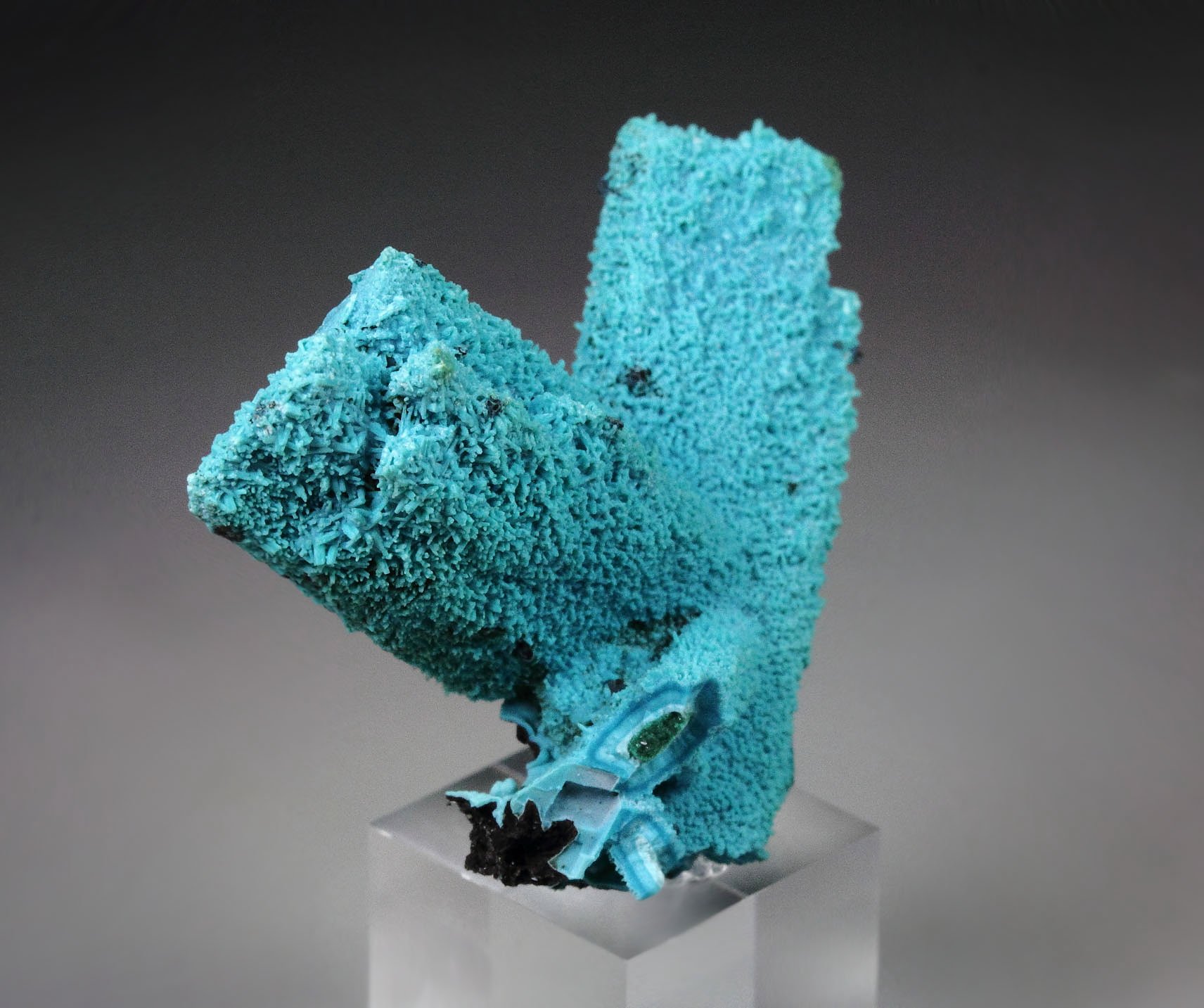 CHRYSOCOLLA pseudomorph after AZURITE