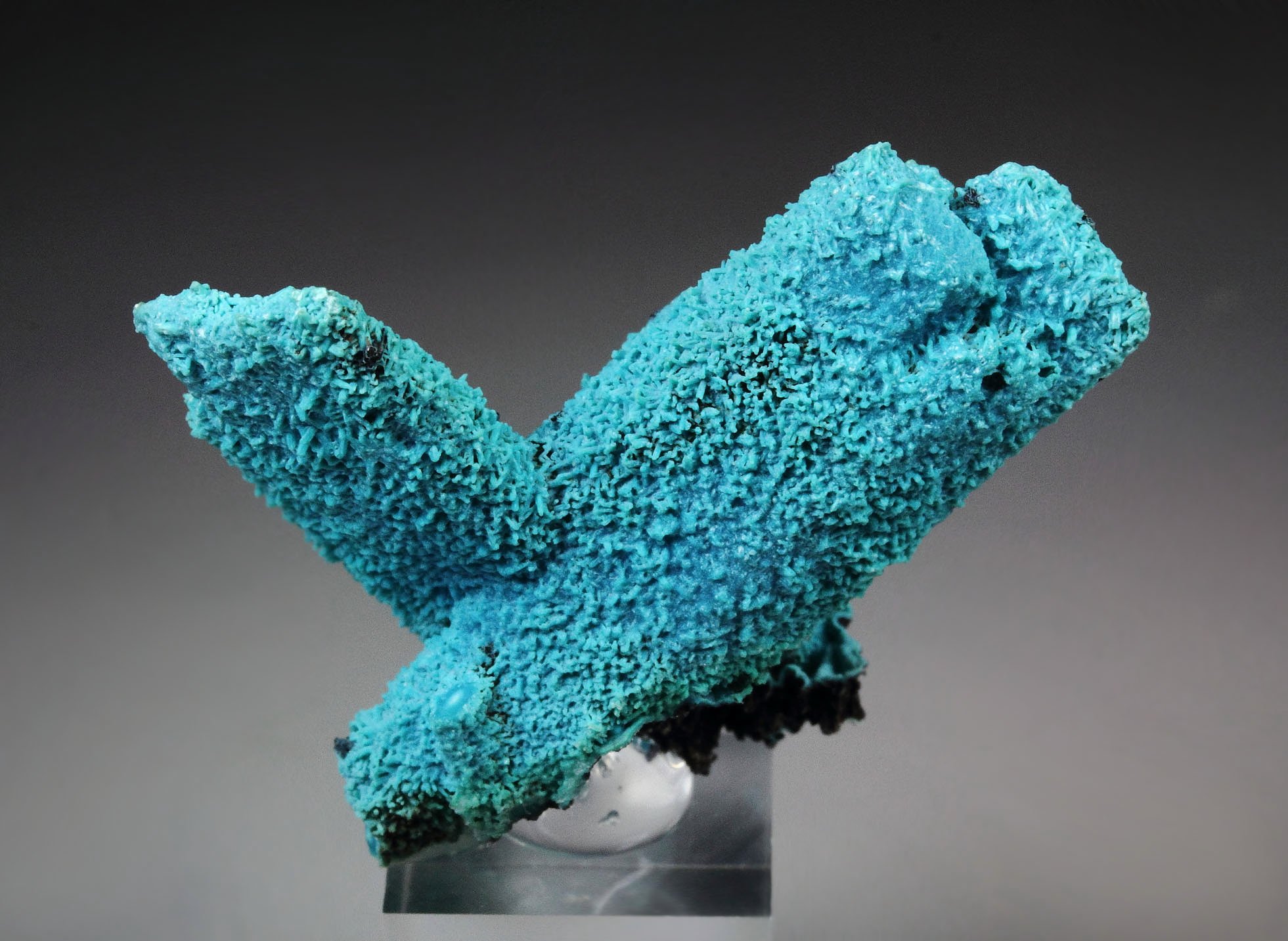 CHRYSOCOLLA pseudomorph after AZURITE