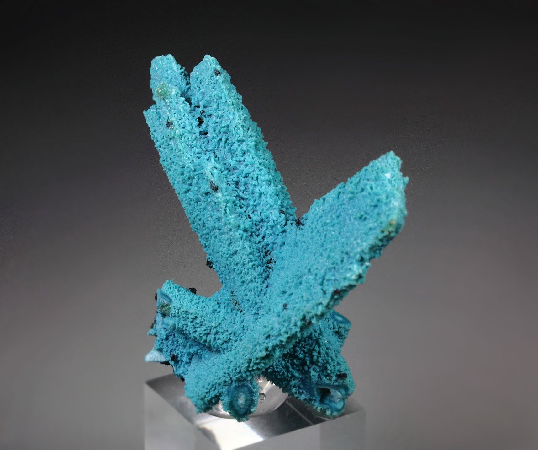 CHRYSOCOLLA pseudomorph after AZURITE