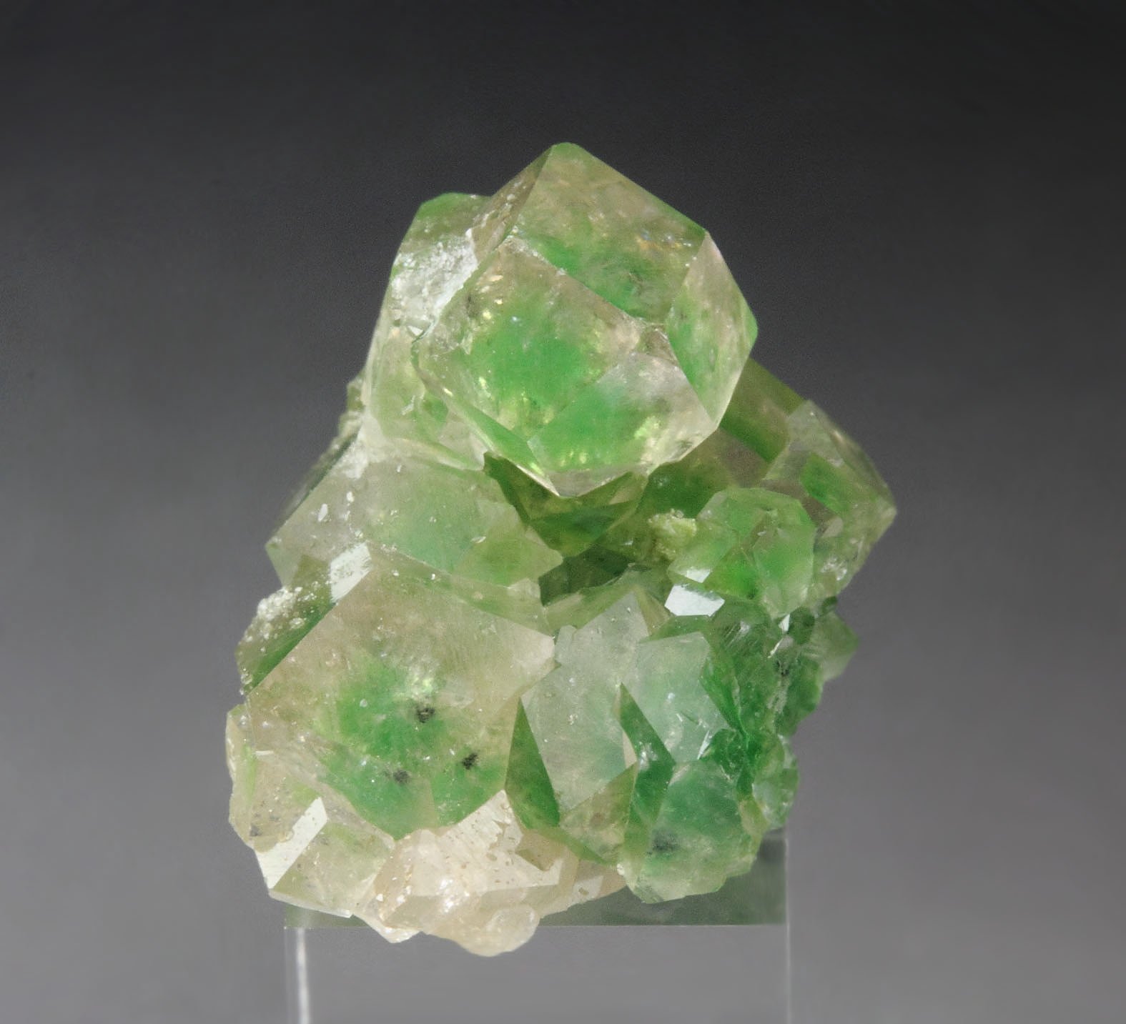 gem GARNET var. GROSSULAR with GREEN CHROMIAN PHANTOMS