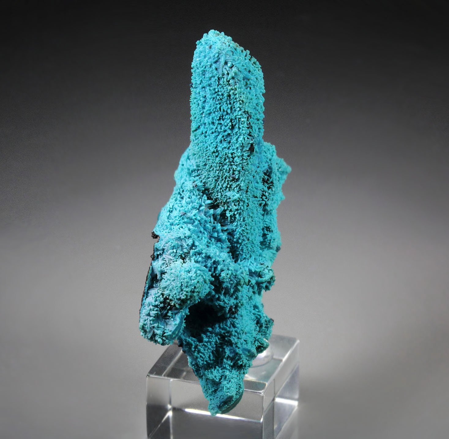 CHRYSOCOLLA pseudomorph after AZURITE