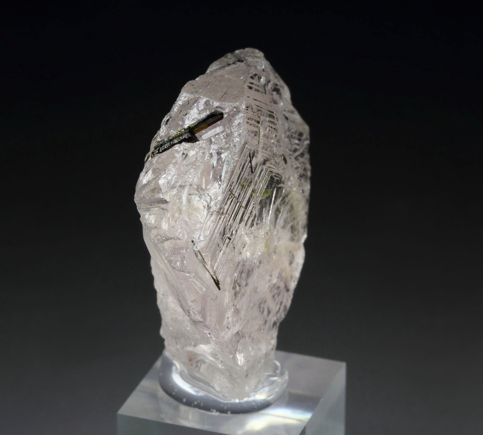 gem BERYL var. MORGANITE with TOURMALINE inclusions